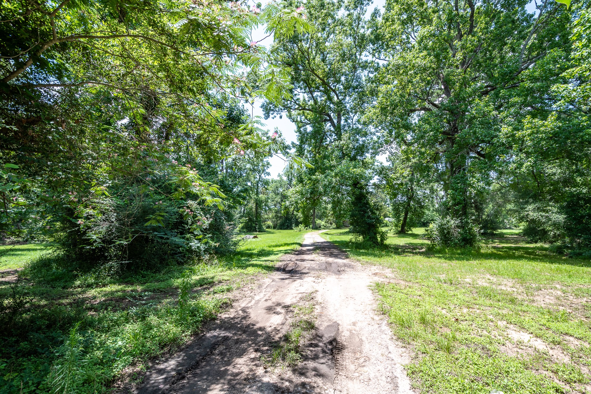 16100 Fm 1485 Road Property Photo 15