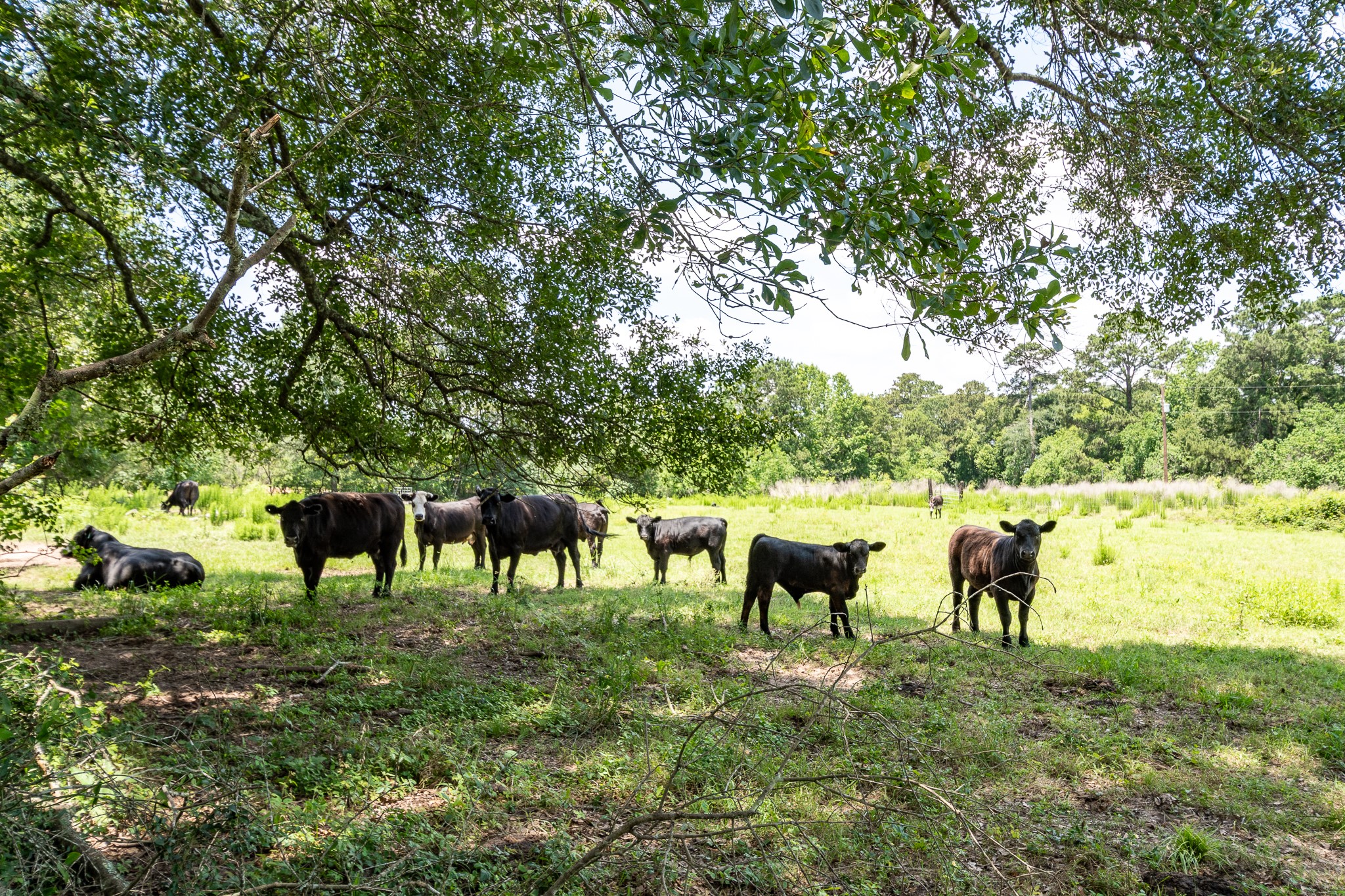 16100 Fm 1485 Road Property Photo 19