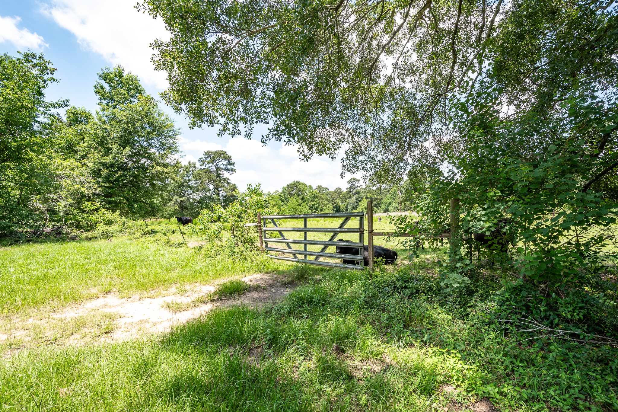 16100 Fm 1485 Road Property Photo 20
