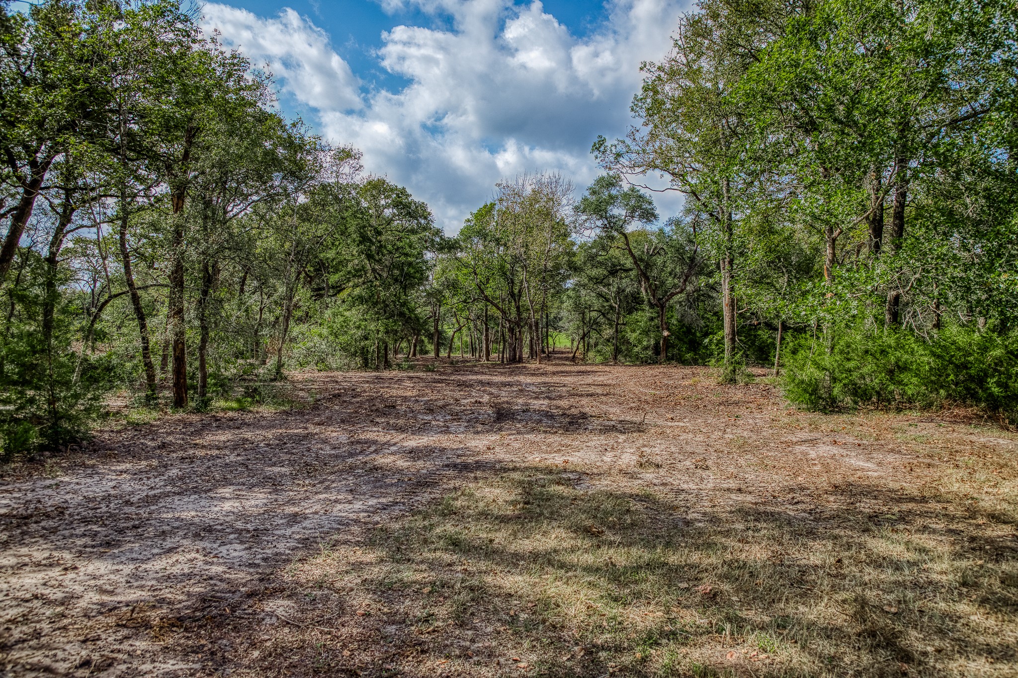 Tract 2 Sun Oil Road Property Photo 5