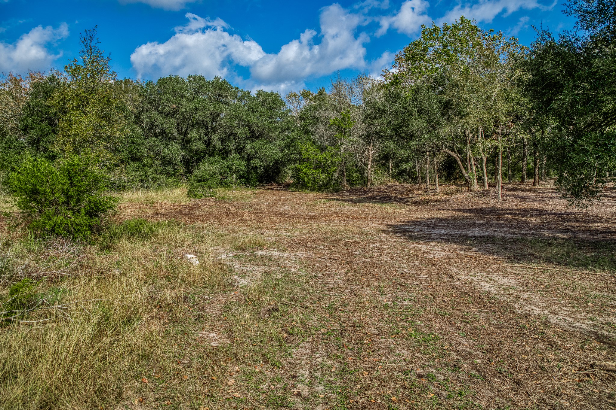Tract 2 Sun Oil Road Property Photo 16