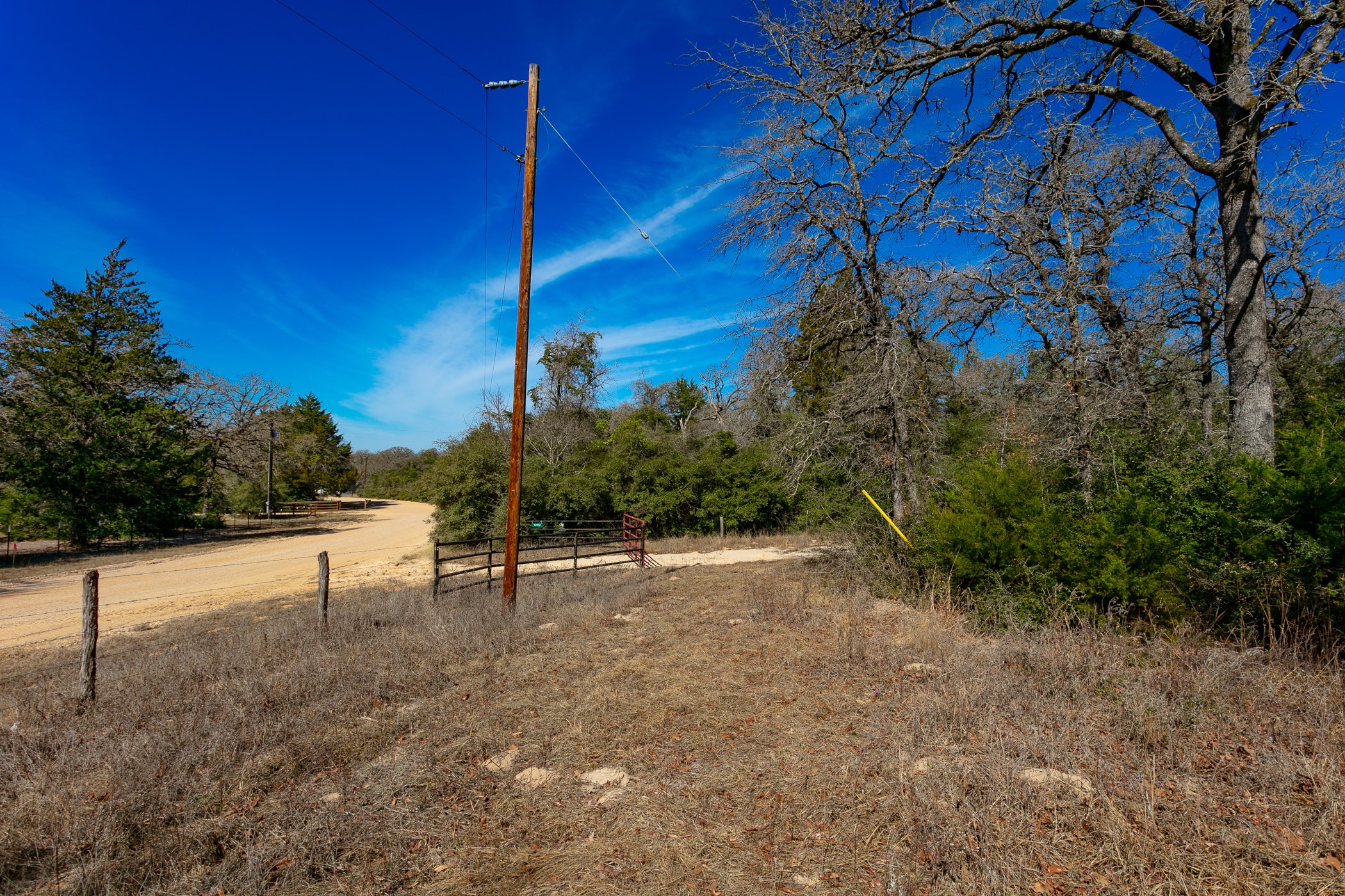 10162 County Road 321 Property Photo 2