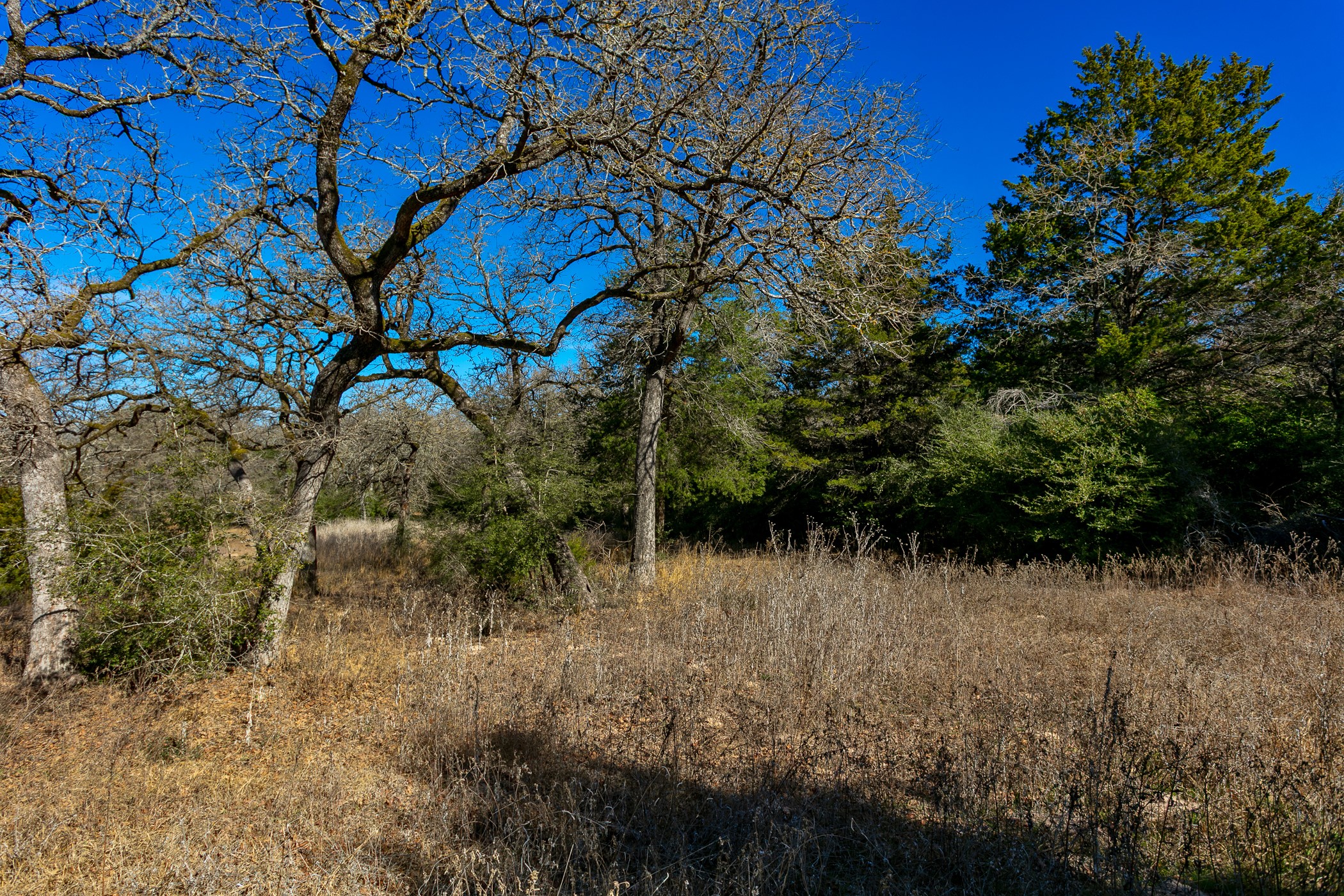 10162 County Road 321 Property Photo 3