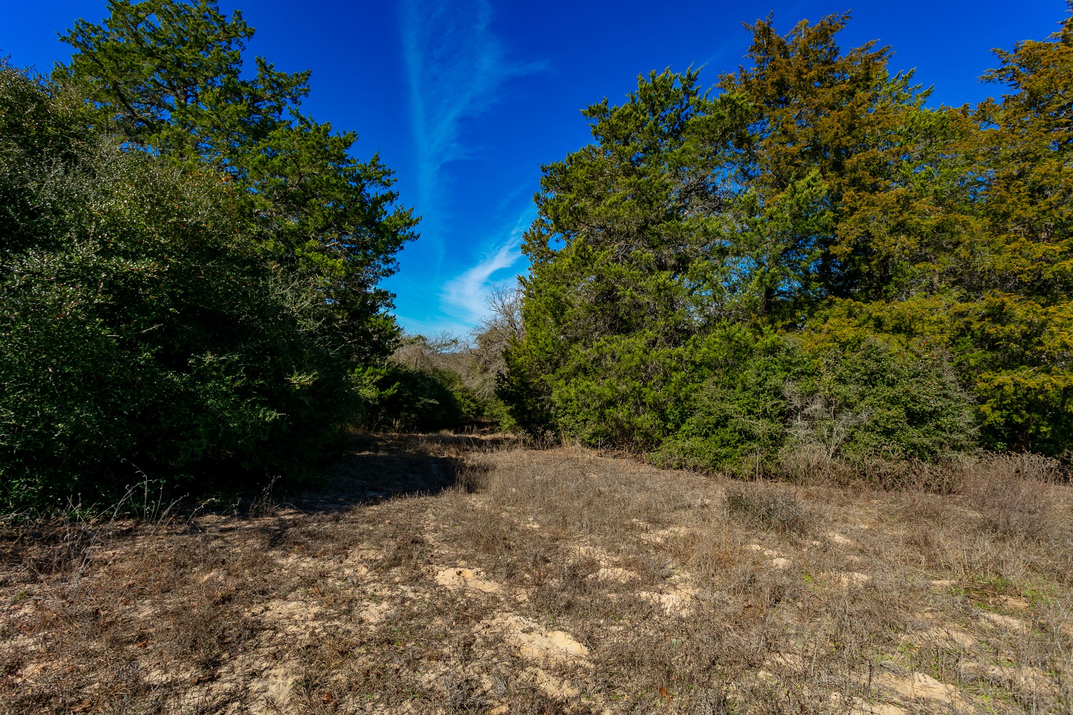 10162 County Road 321 Property Photo 4