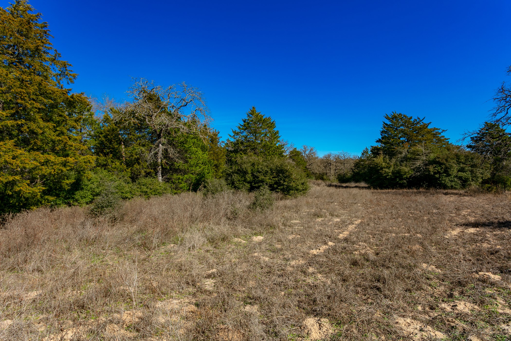 10162 County Road 321 Property Photo 5