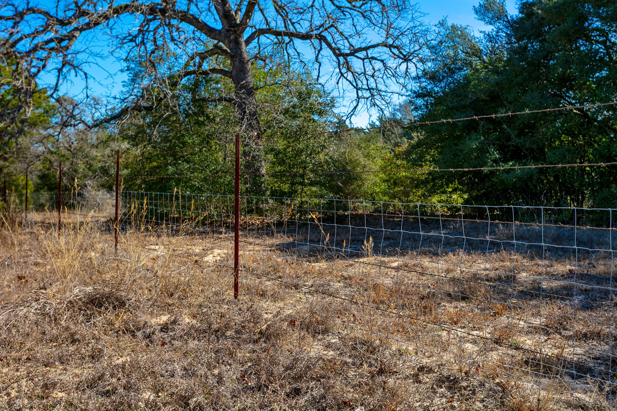 10162 County Road 321 Property Photo 6