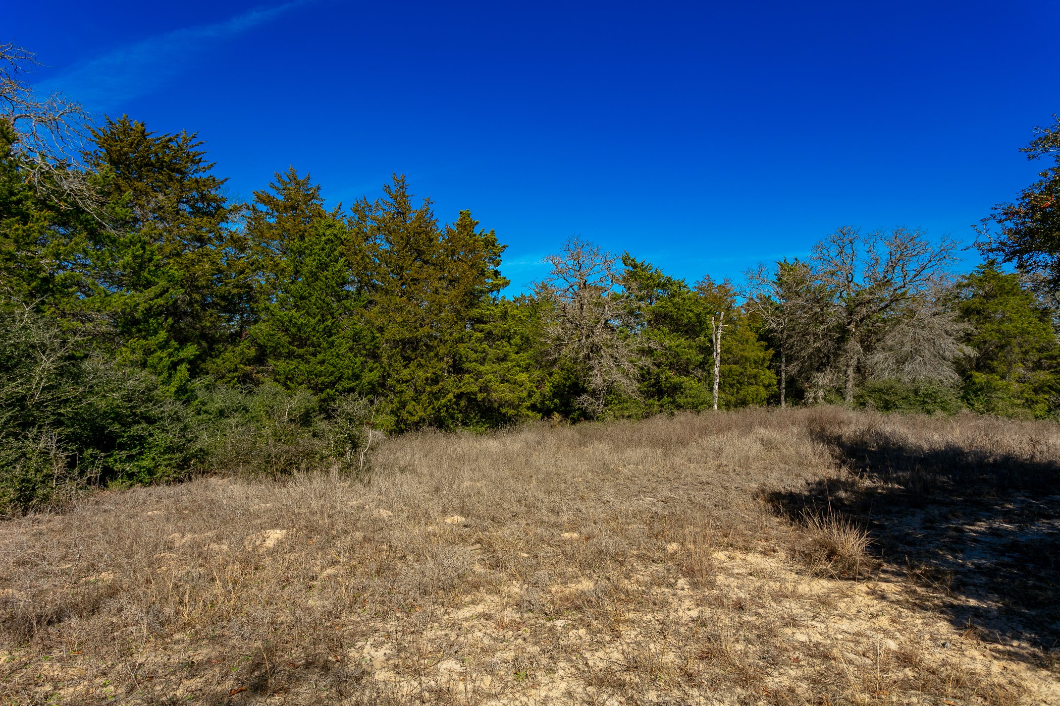 10162 County Road 321 Property Photo 7