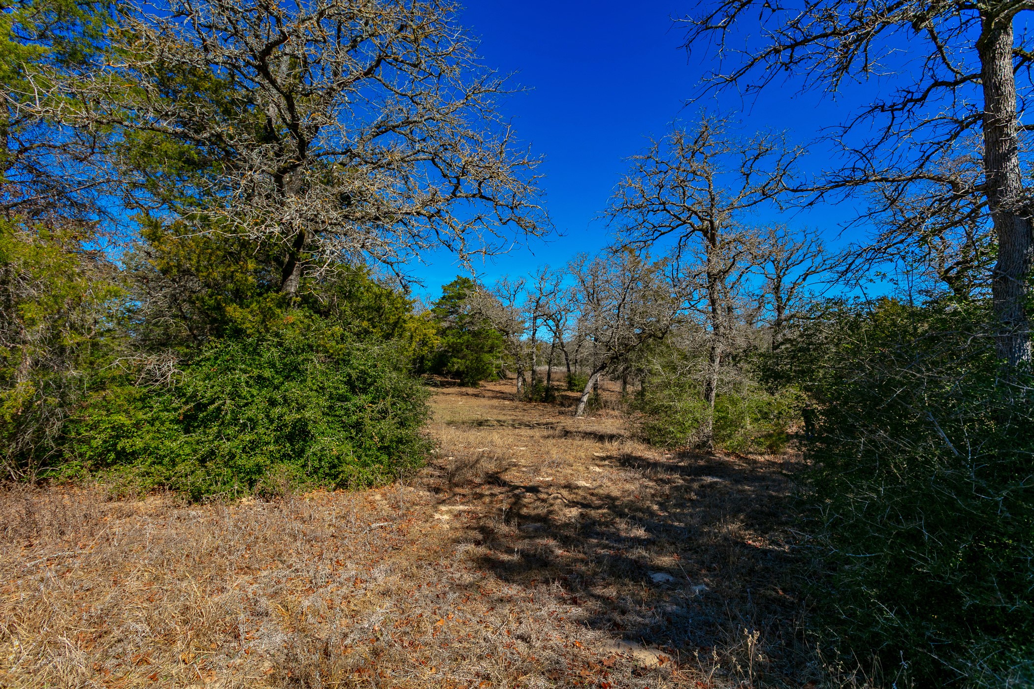 10162 County Road 321 Property Photo 8