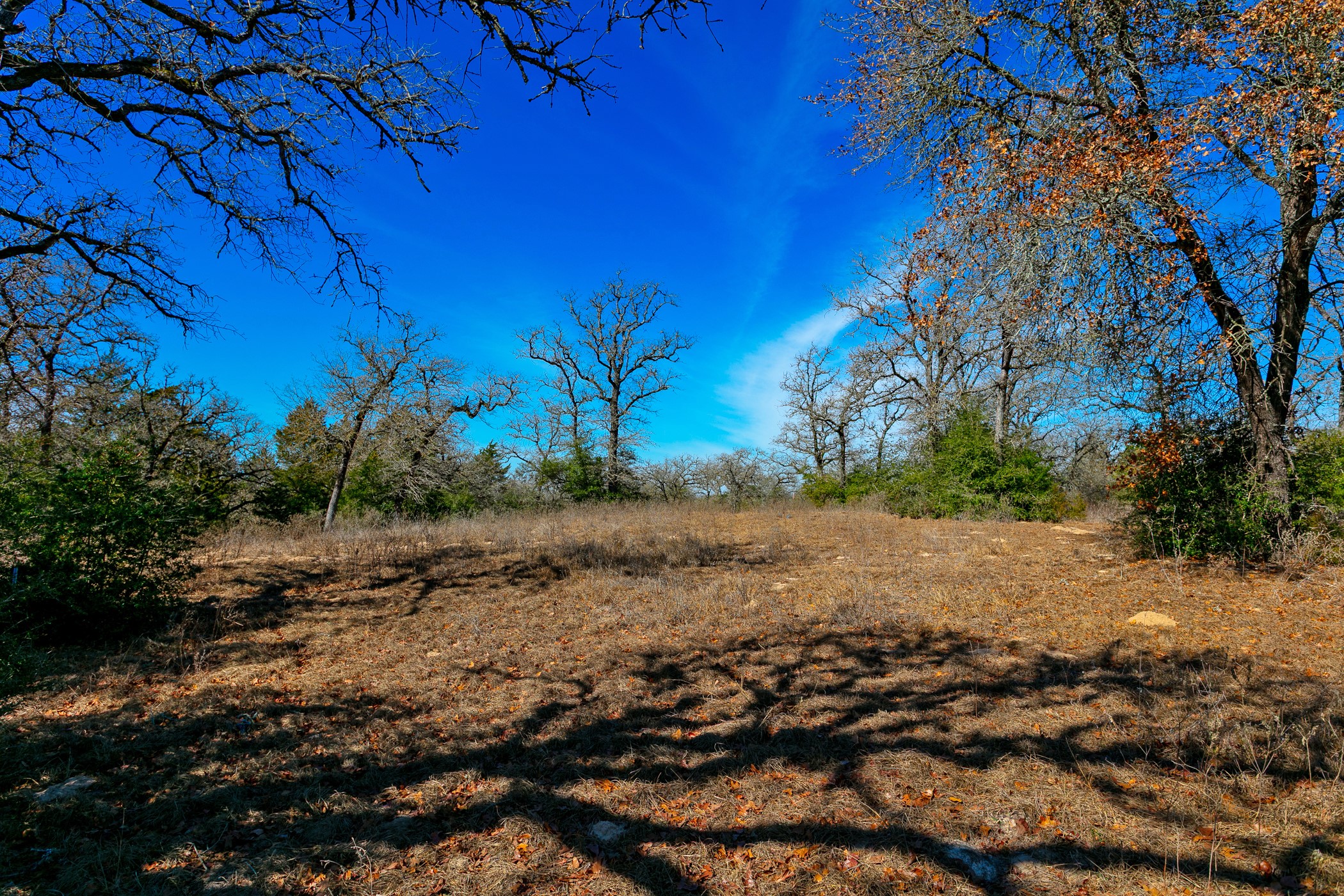 10162 County Road 321 Property Photo 12