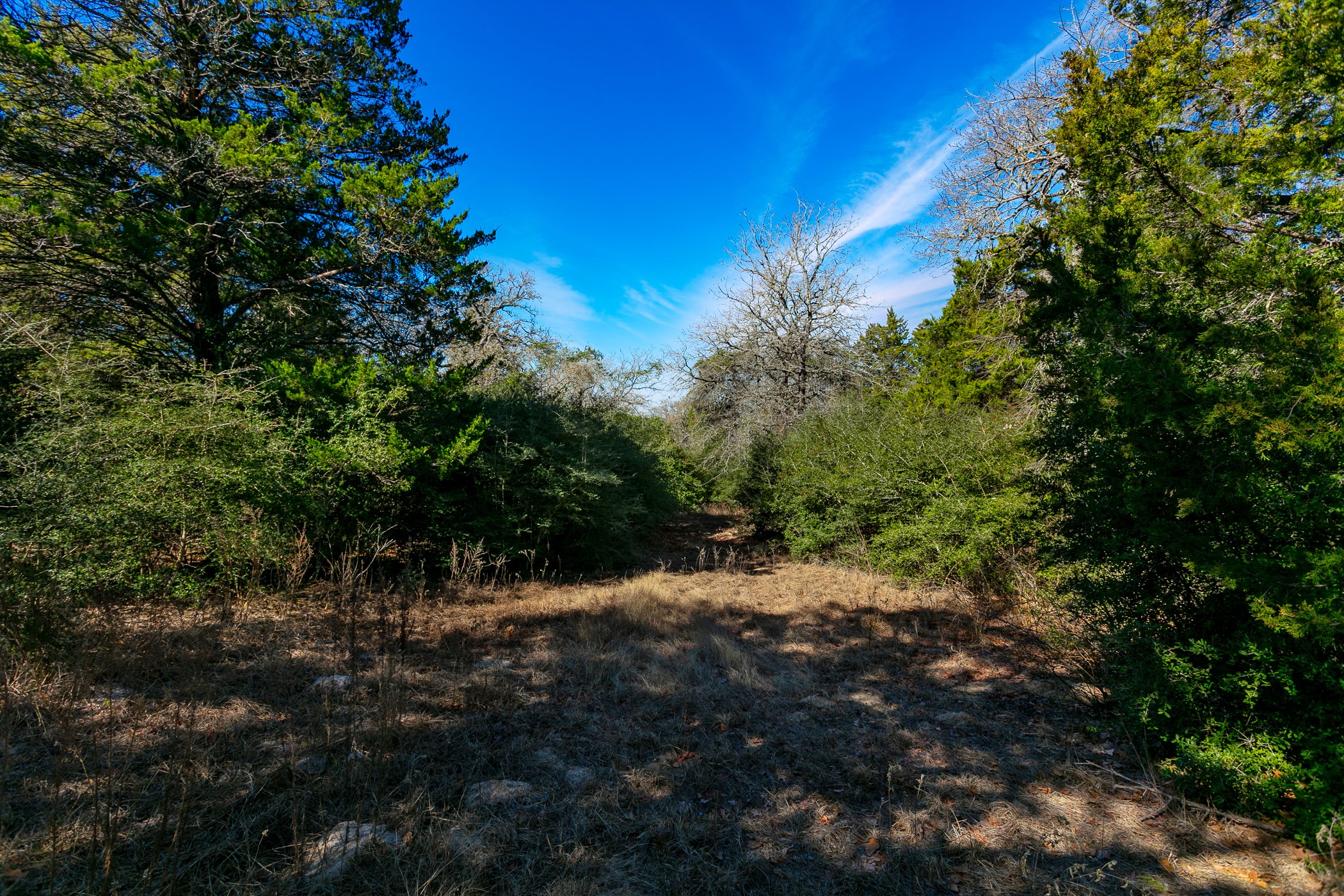 10162 County Road 321 Property Photo 15