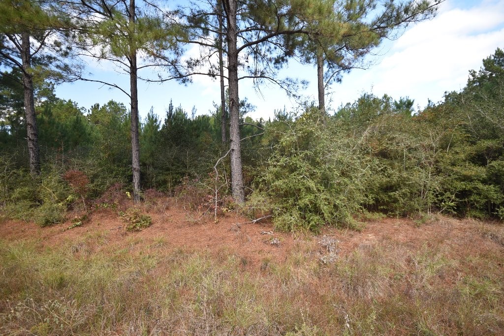0 Bo Brown Road Property Photo 2