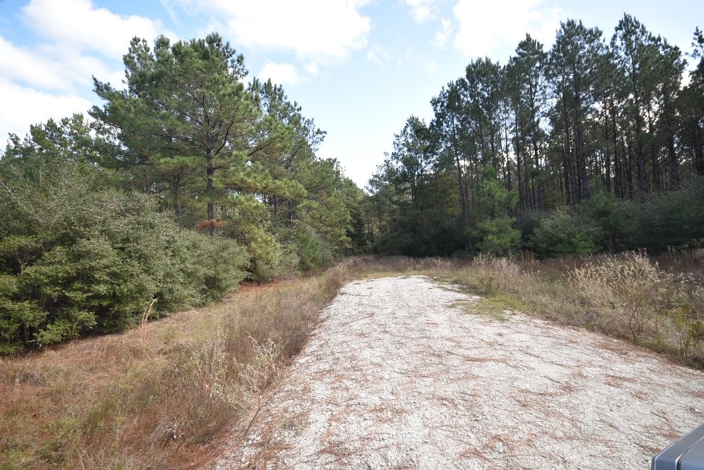 0 Bo Brown Road Property Photo 3
