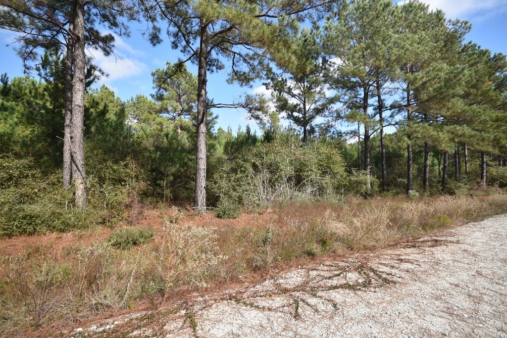 0 Bo Brown Road Property Photo 8