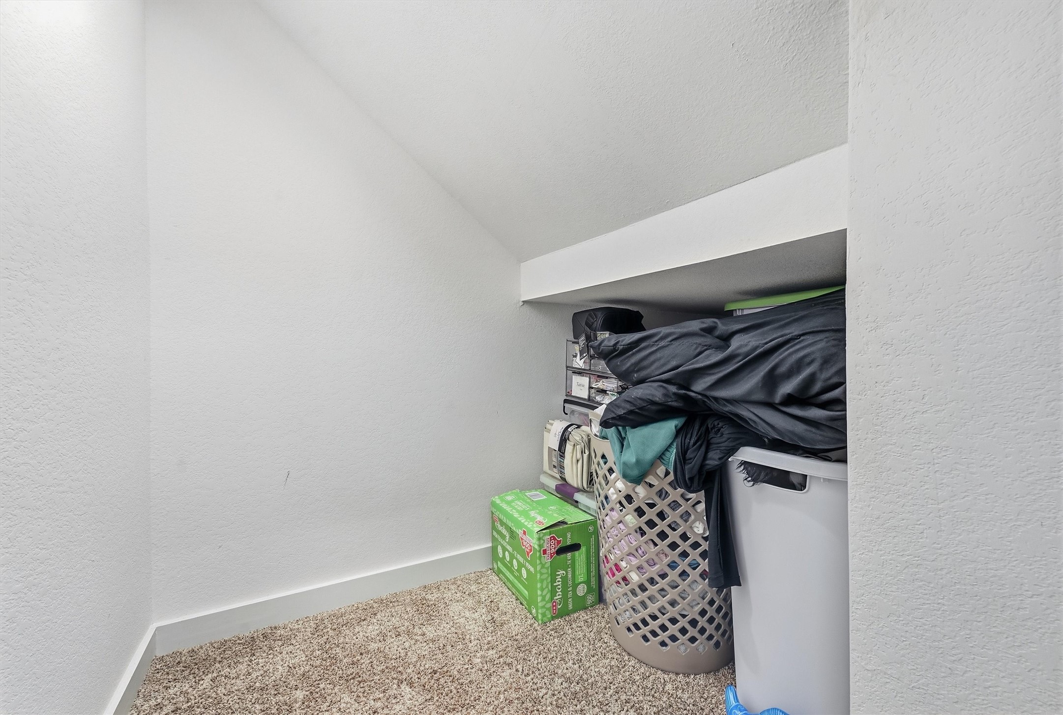 14119 Trail Creek Court Property Photo 16