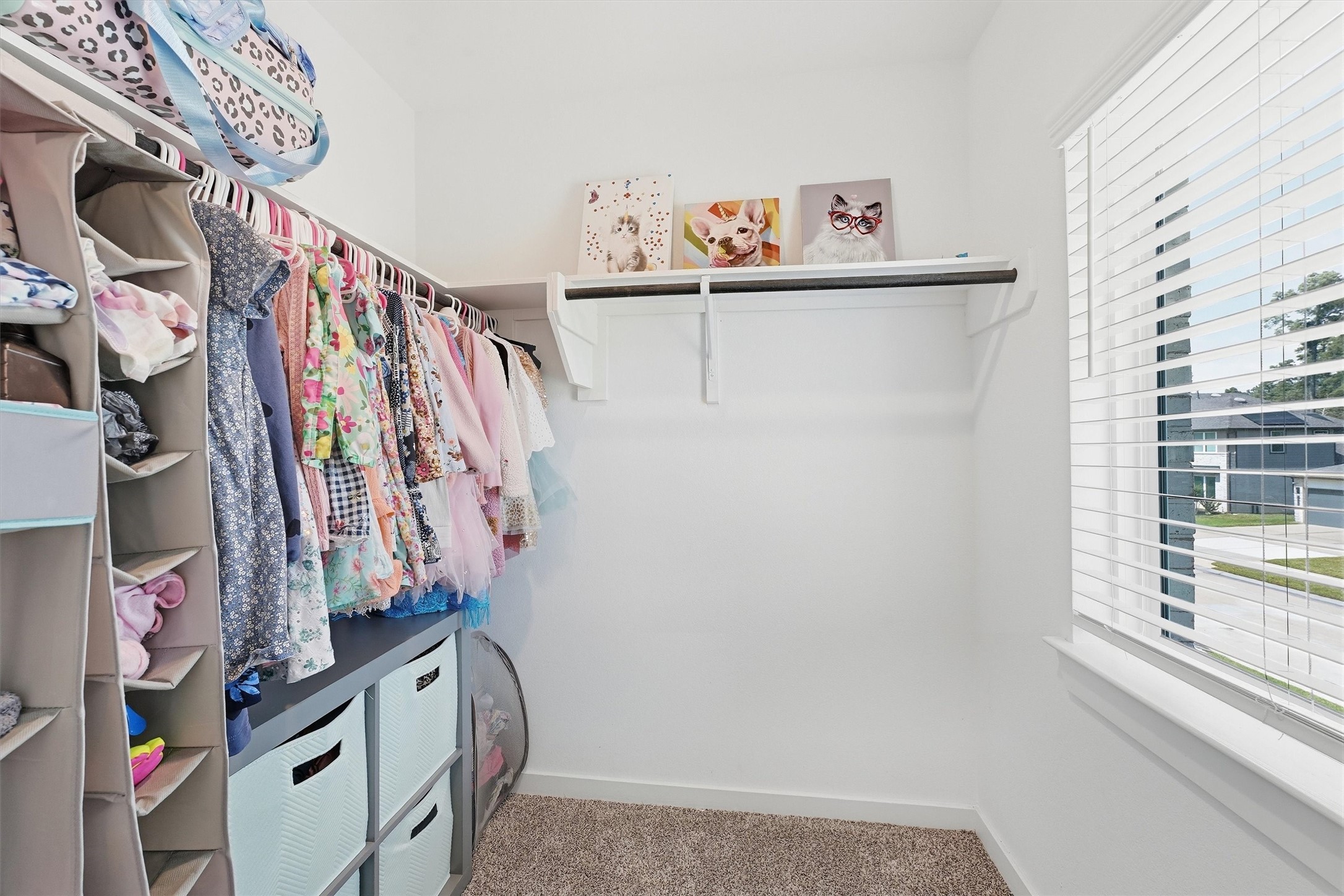 14119 Trail Creek Court Property Photo 21