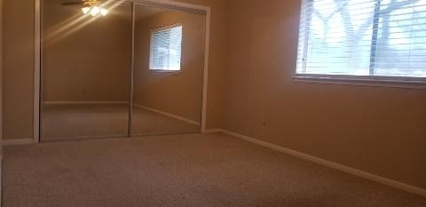 2822 Chimneystone Drive Property Photo 14