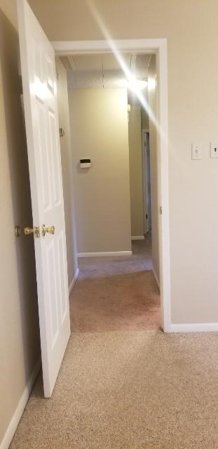 2822 Chimneystone Drive Property Photo 15