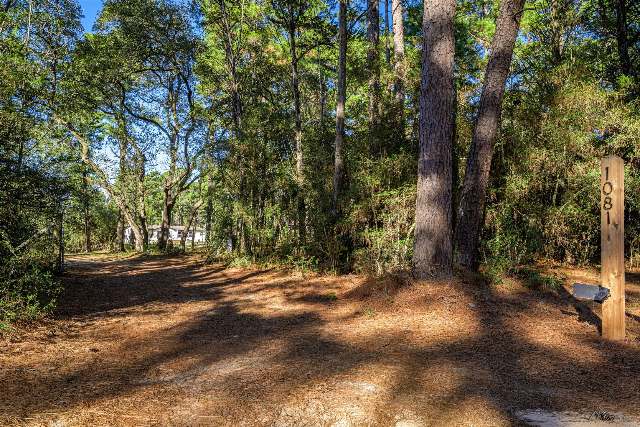 1081 Pine Crest Drive Property Photo 29