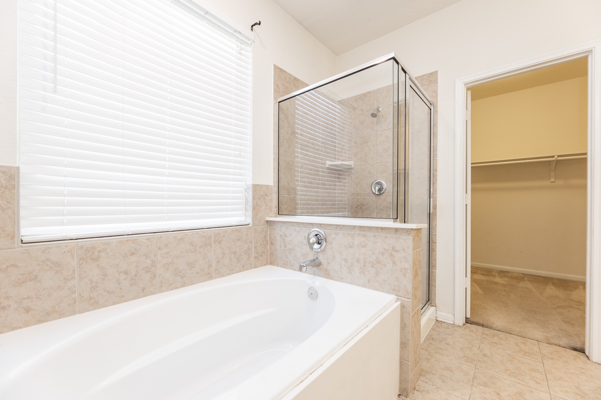 25342 Briscoe Village Drive Property Photo 23