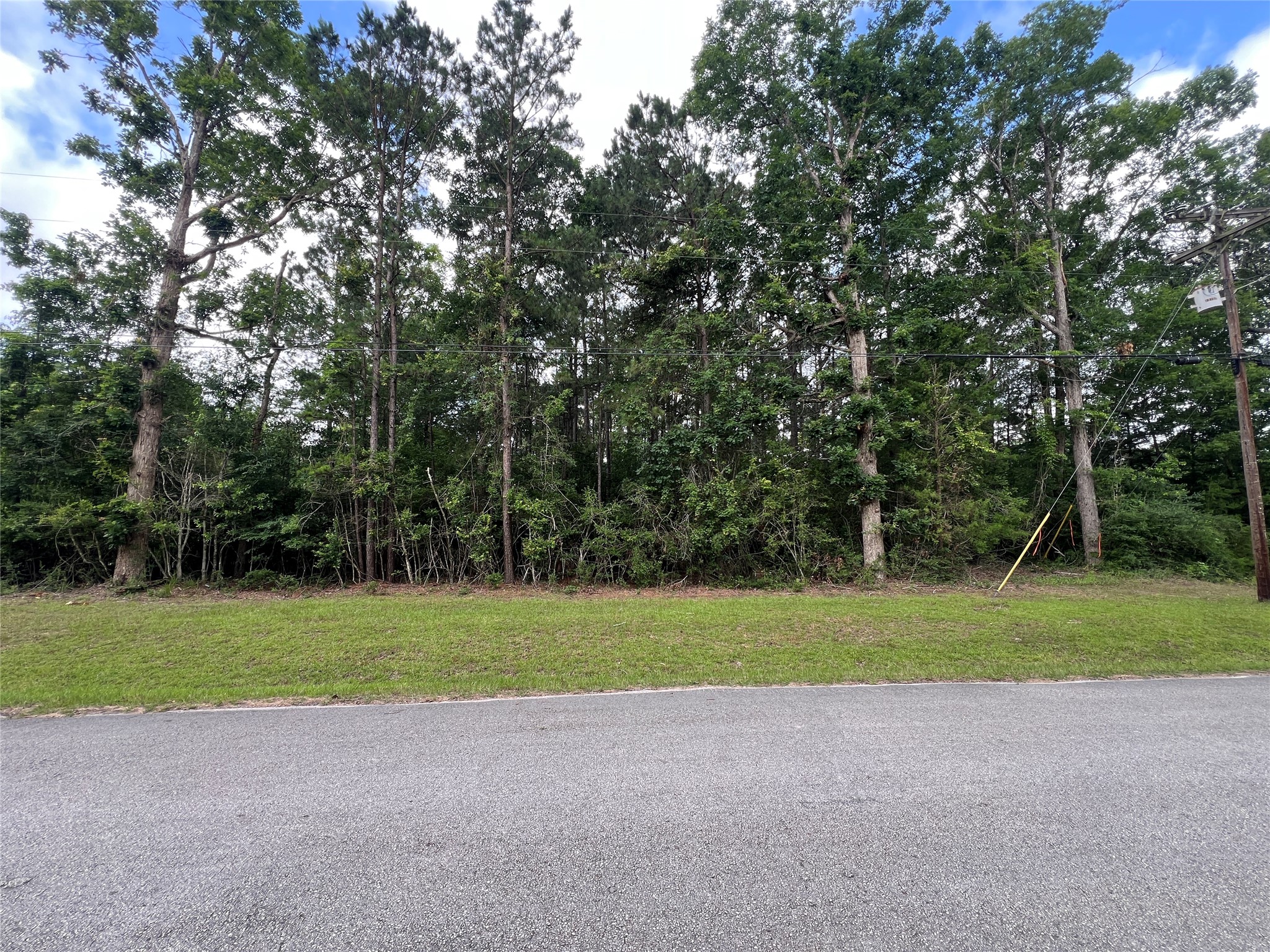 319 Lost Lake Trail Property Photo 1