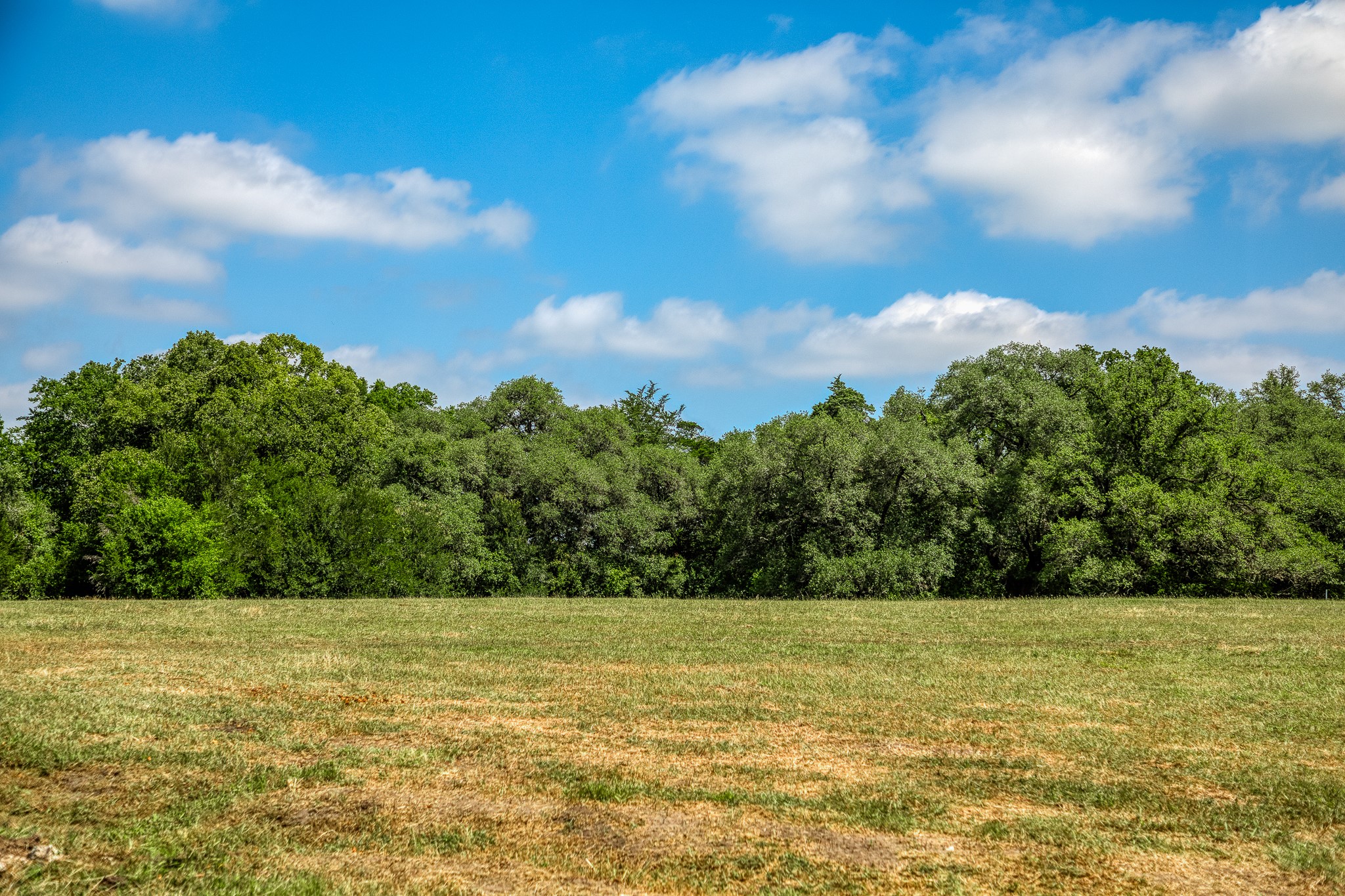 Tract 3 Artesian Park Ln Property Photo 3