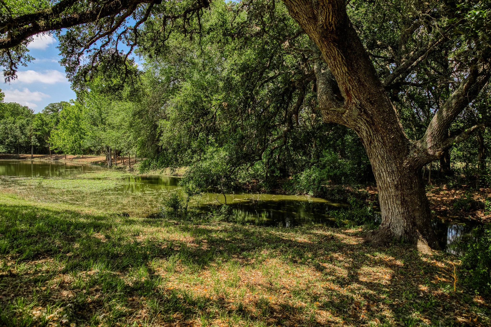 Tract 3 Artesian Park Ln Property Photo 5