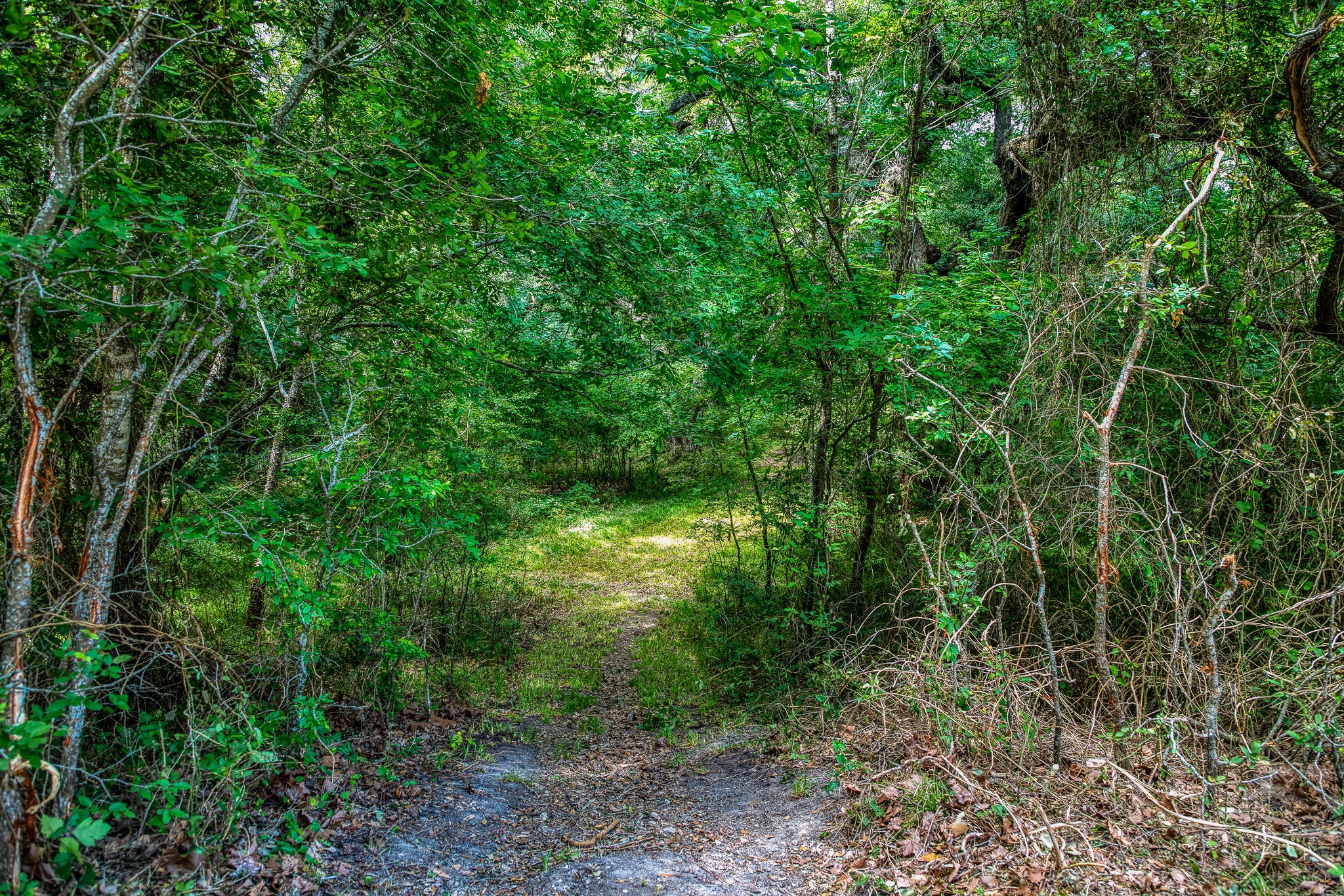 Tract 3 Artesian Park Ln Property Photo 9