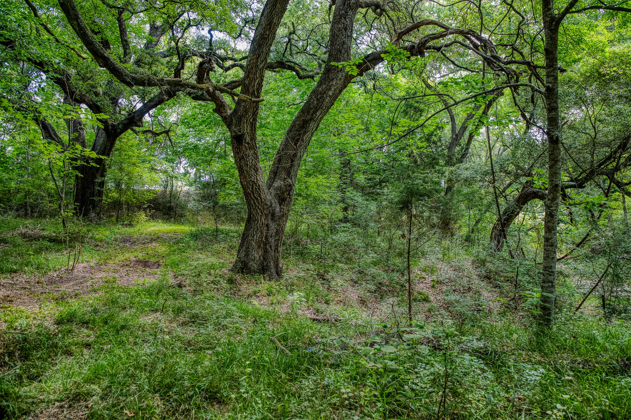 Tract 3 Artesian Park Ln Property Photo 10