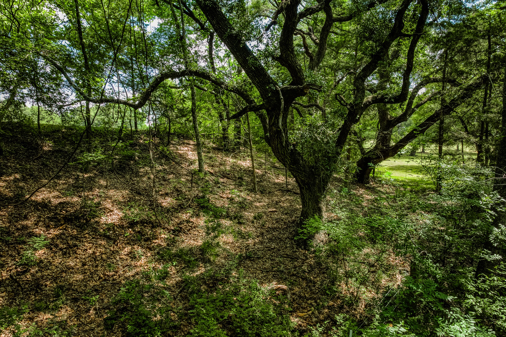 Tract 3 Artesian Park Ln Property Photo 11