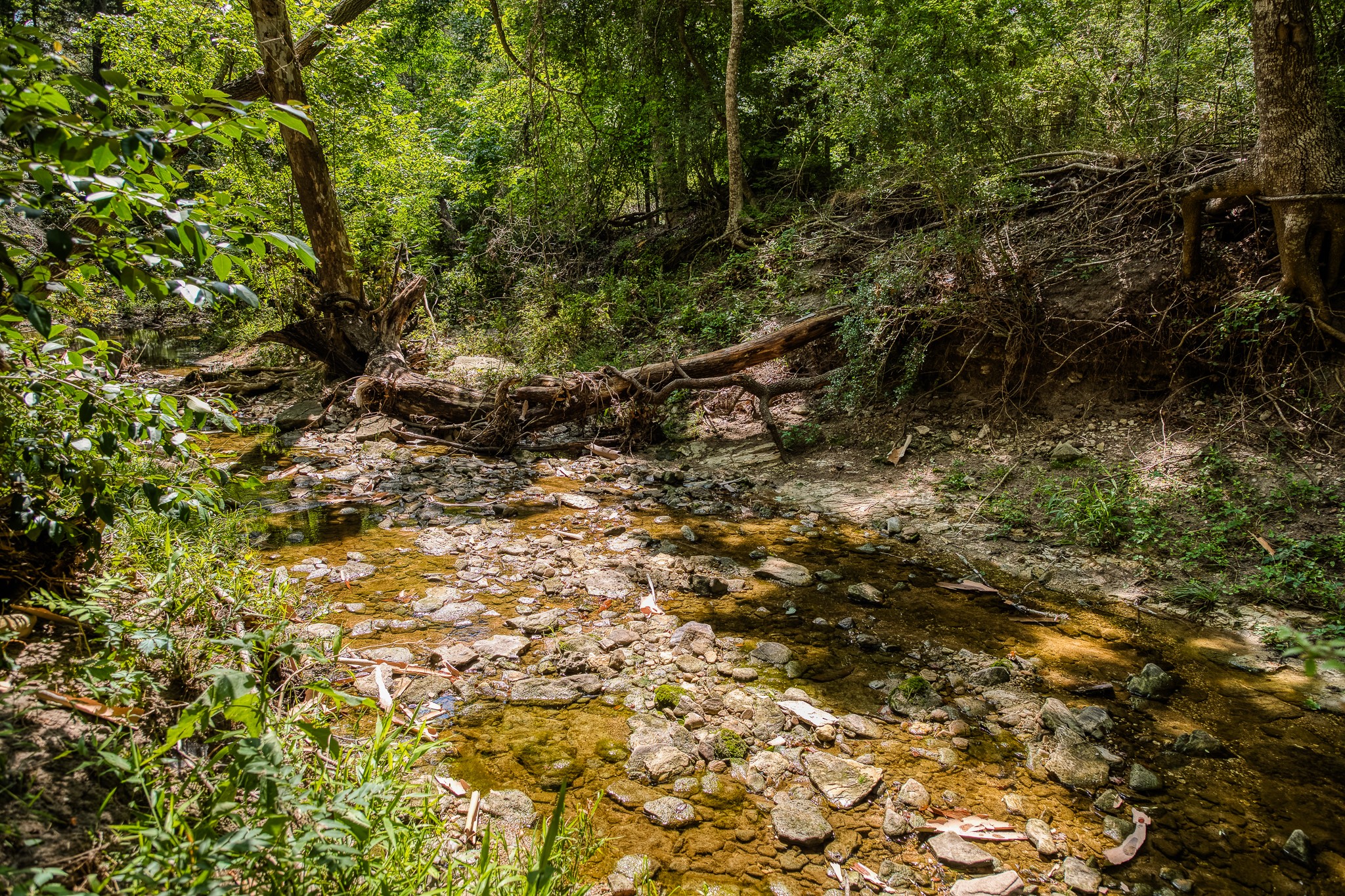 Tract 3 Artesian Park Ln Property Photo 12