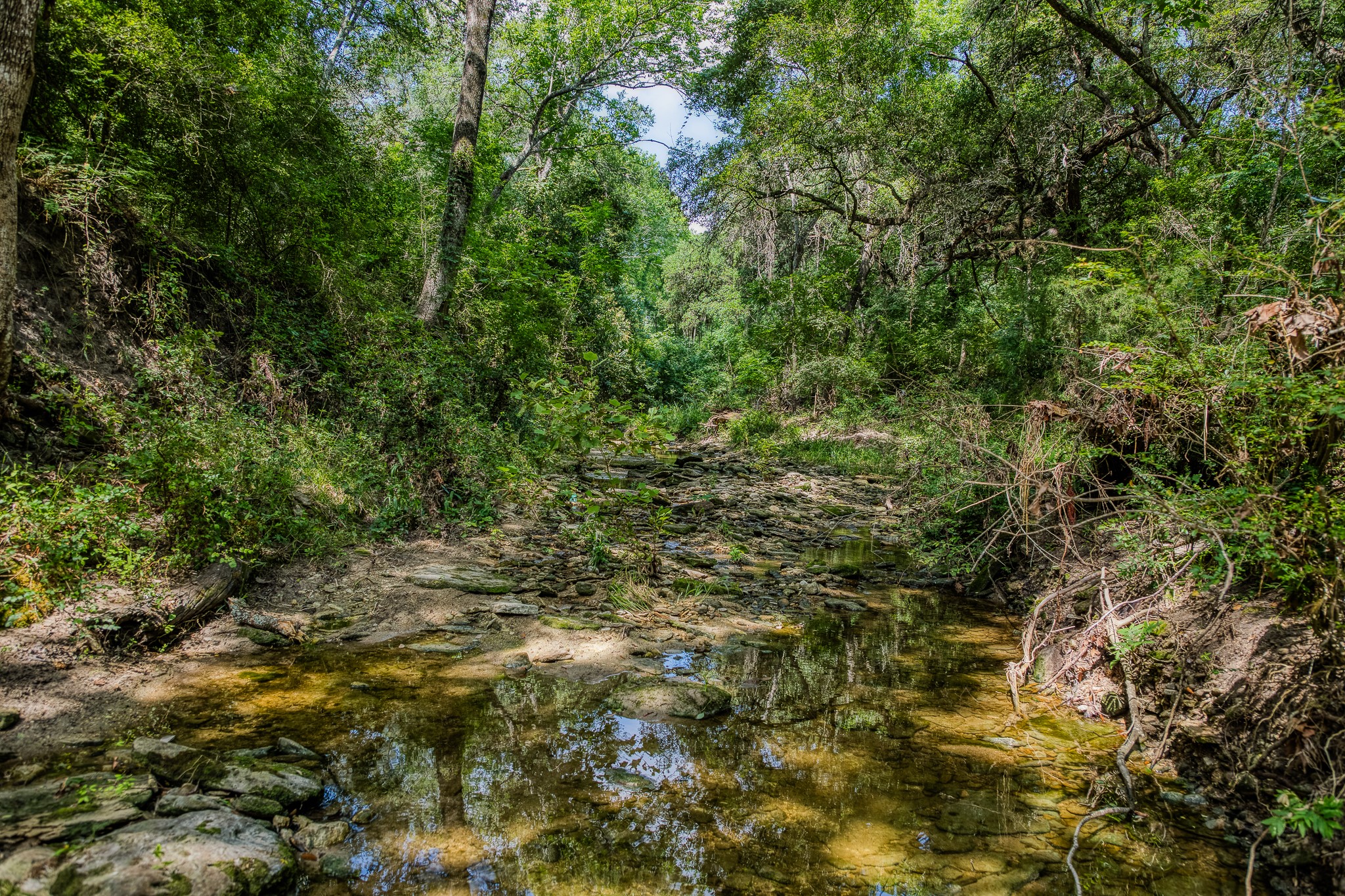 Tract 3 Artesian Park Ln Property Photo 13