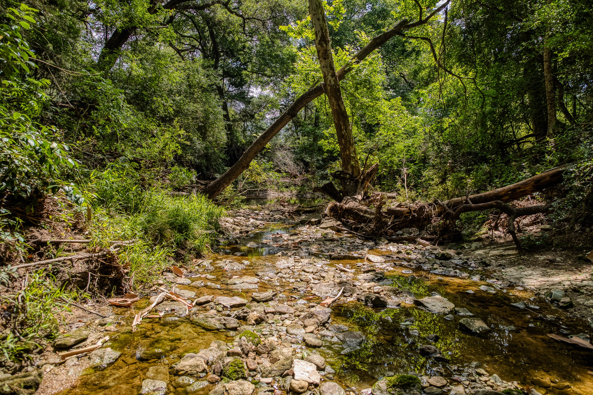 Tract 3 Artesian Park Ln Property Photo 14