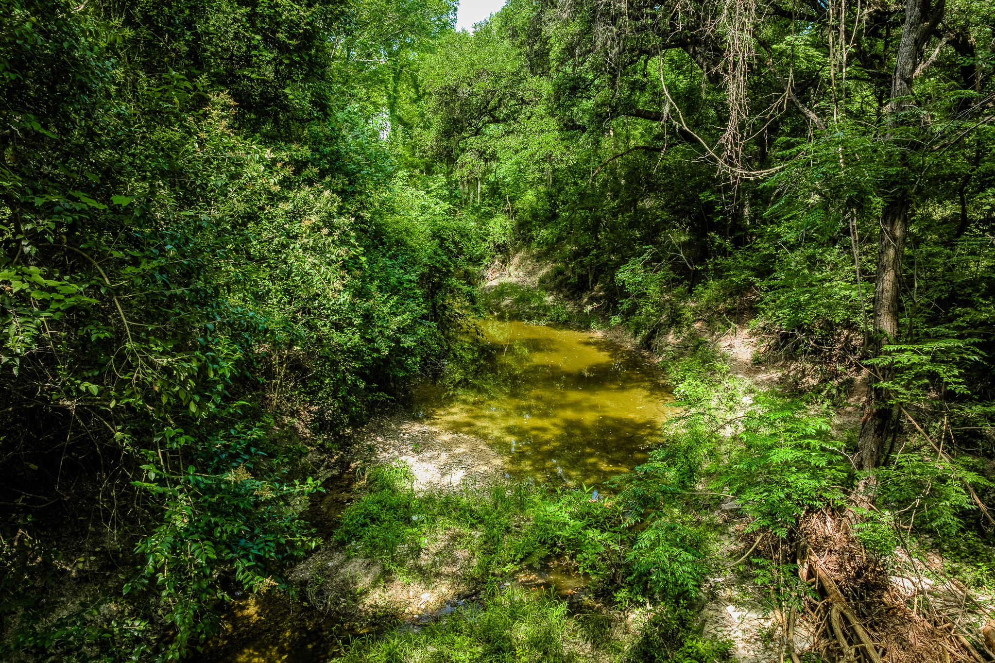 Tract 3 Artesian Park Ln Property Photo 17