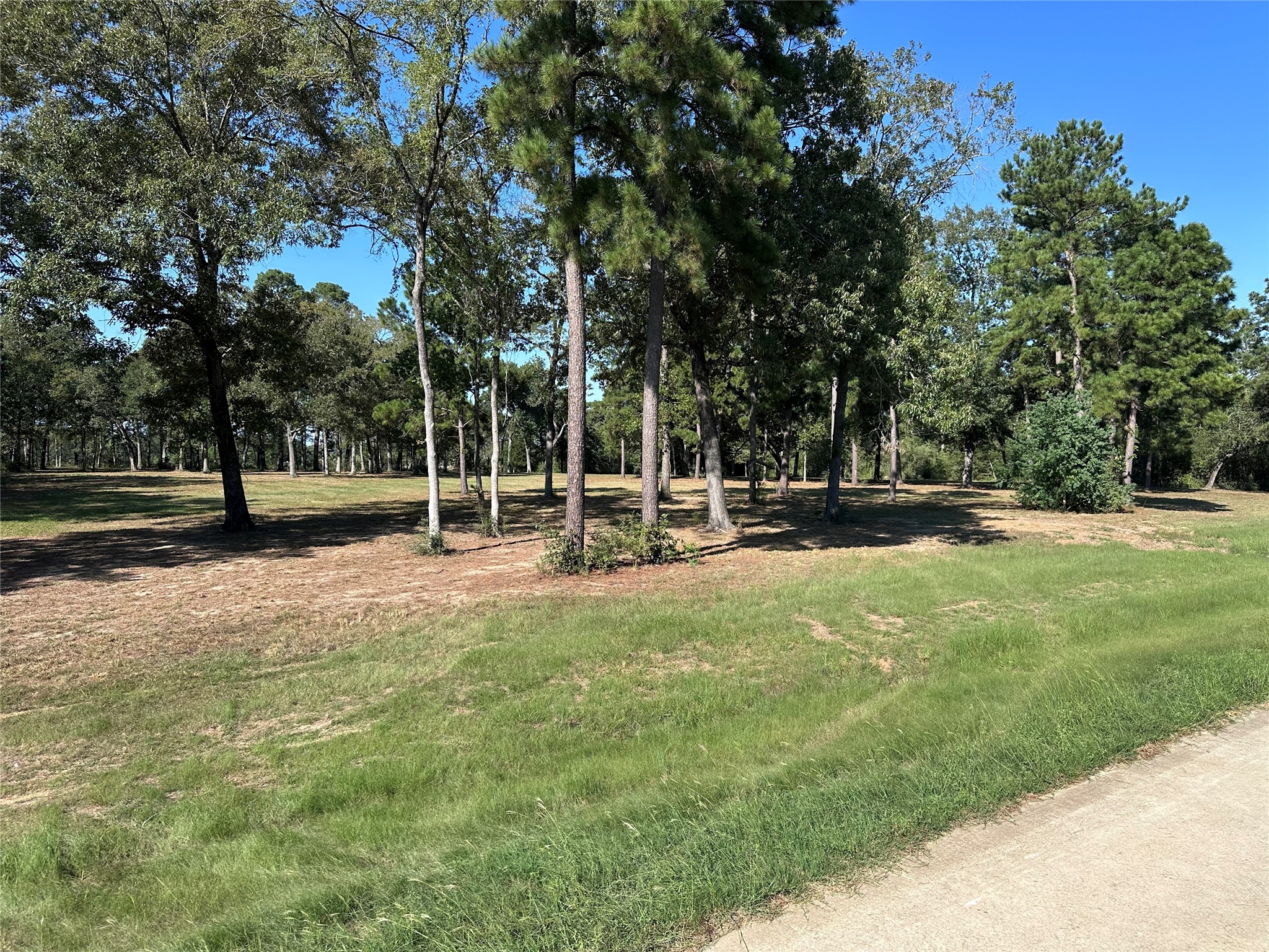 5.3 Ac Tbd -2 Spring Branch Rd Property Photo 2