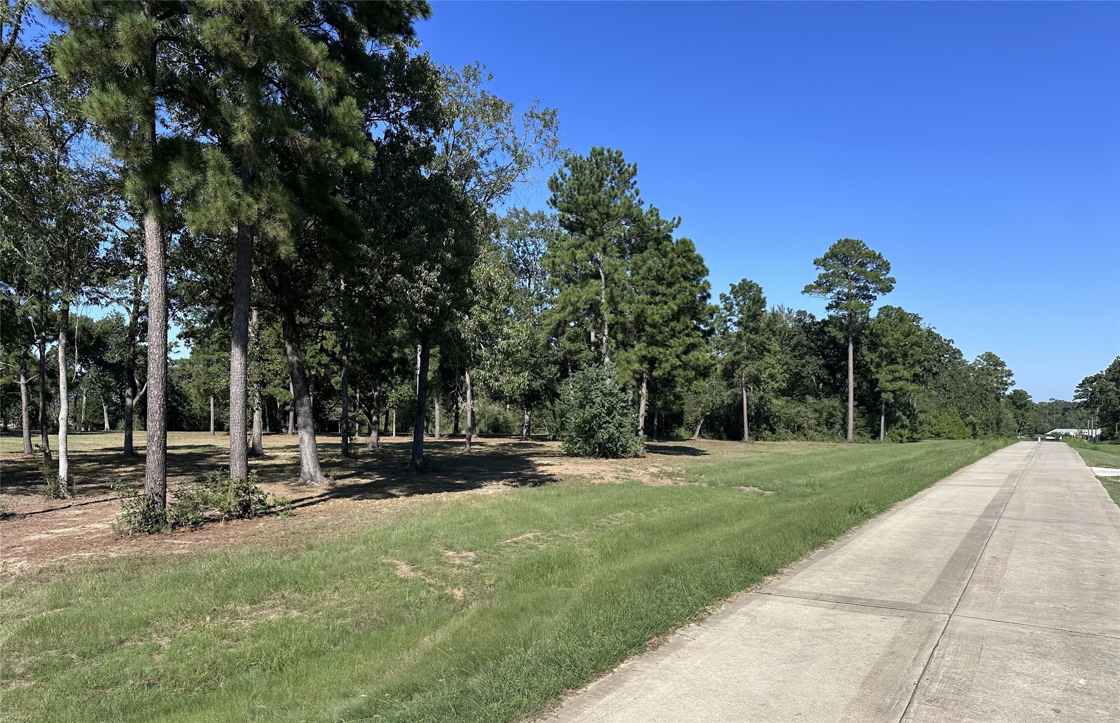 5.3 Ac Tbd -2 Spring Branch Rd Property Photo 10