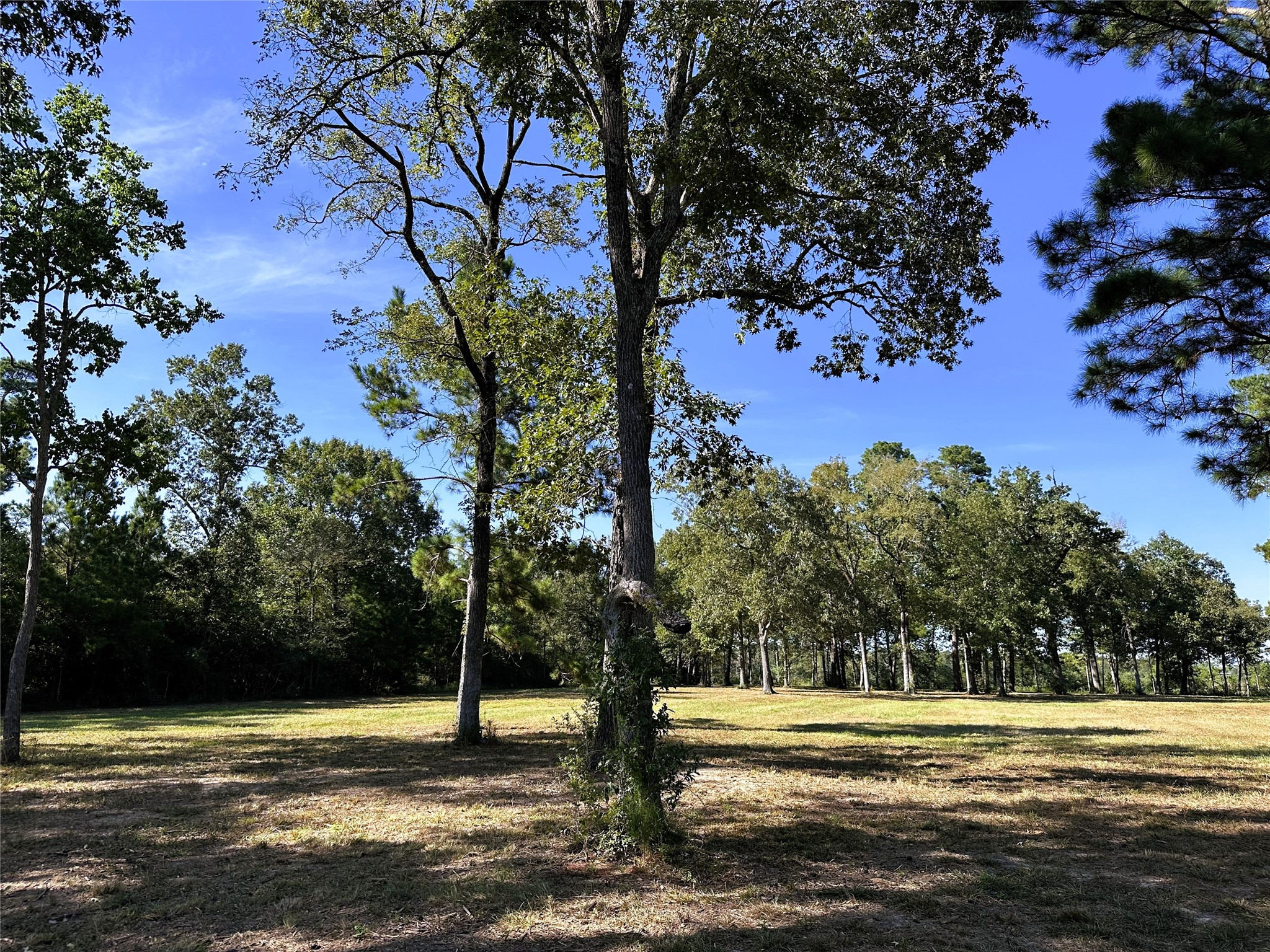 5.3 Ac Tbd -2 Spring Branch Rd Property Photo 13