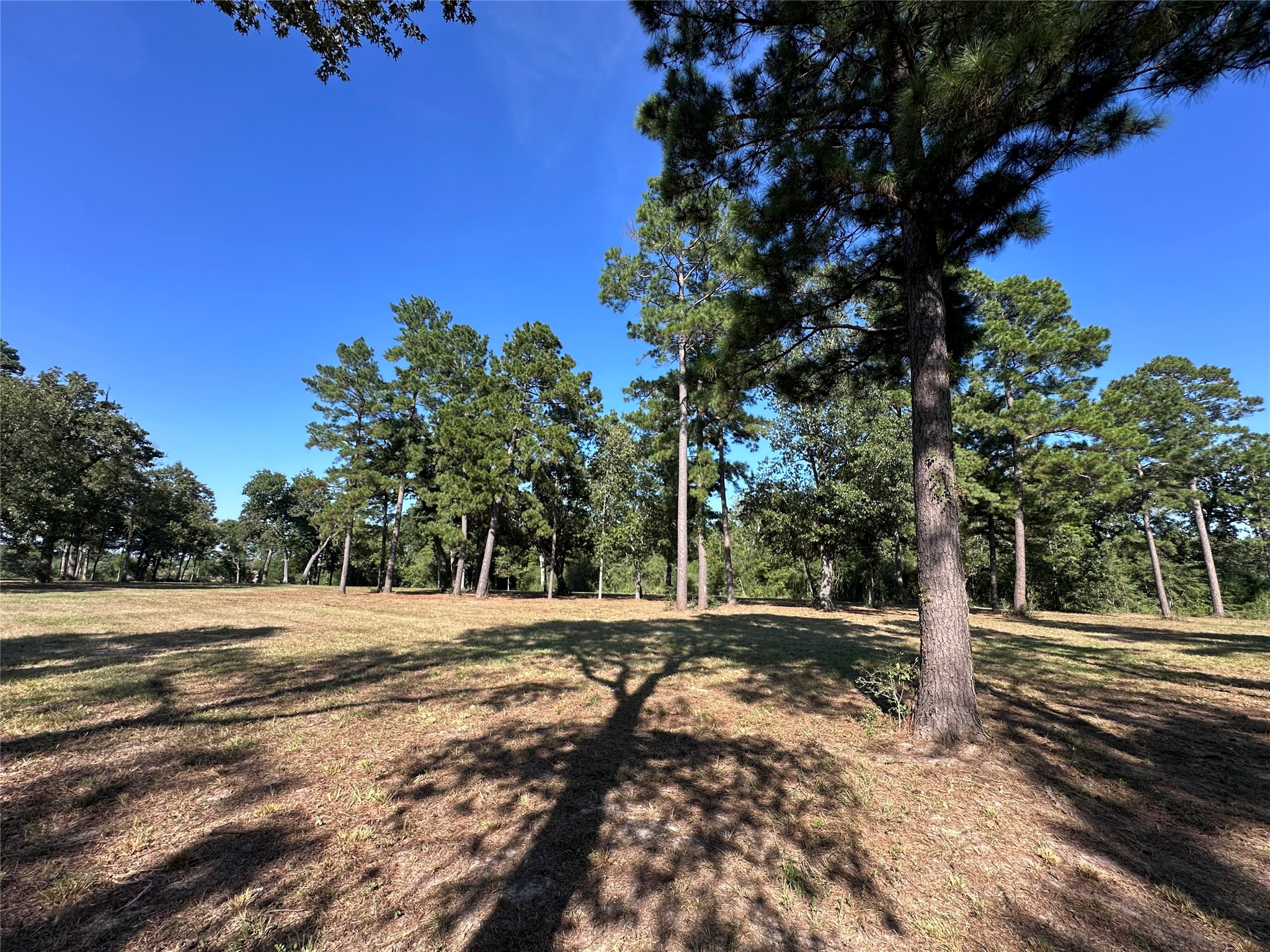 5.3 Ac Tbd -2 Spring Branch Rd Property Photo 19