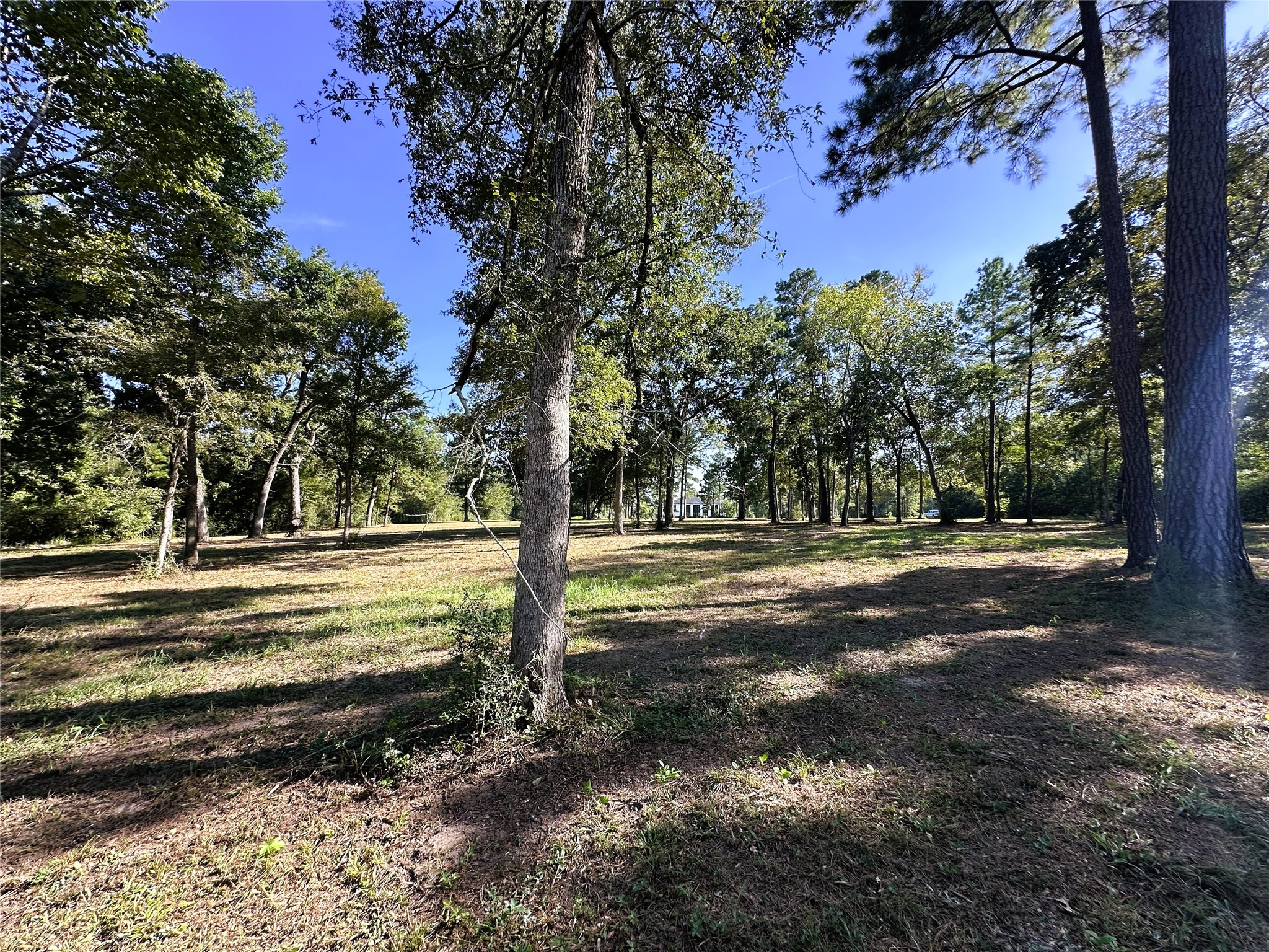 5.3 Ac Tbd -2 Spring Branch Rd Property Photo 28