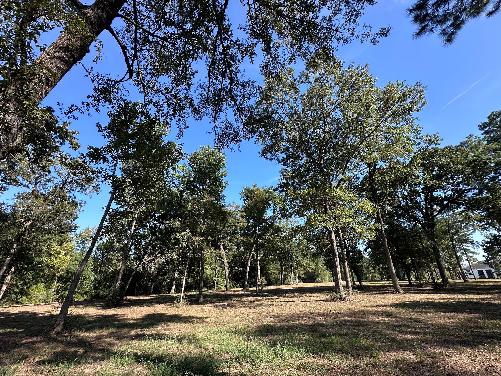 5.3 Ac Tbd -2 Spring Branch Rd Property Photo 30