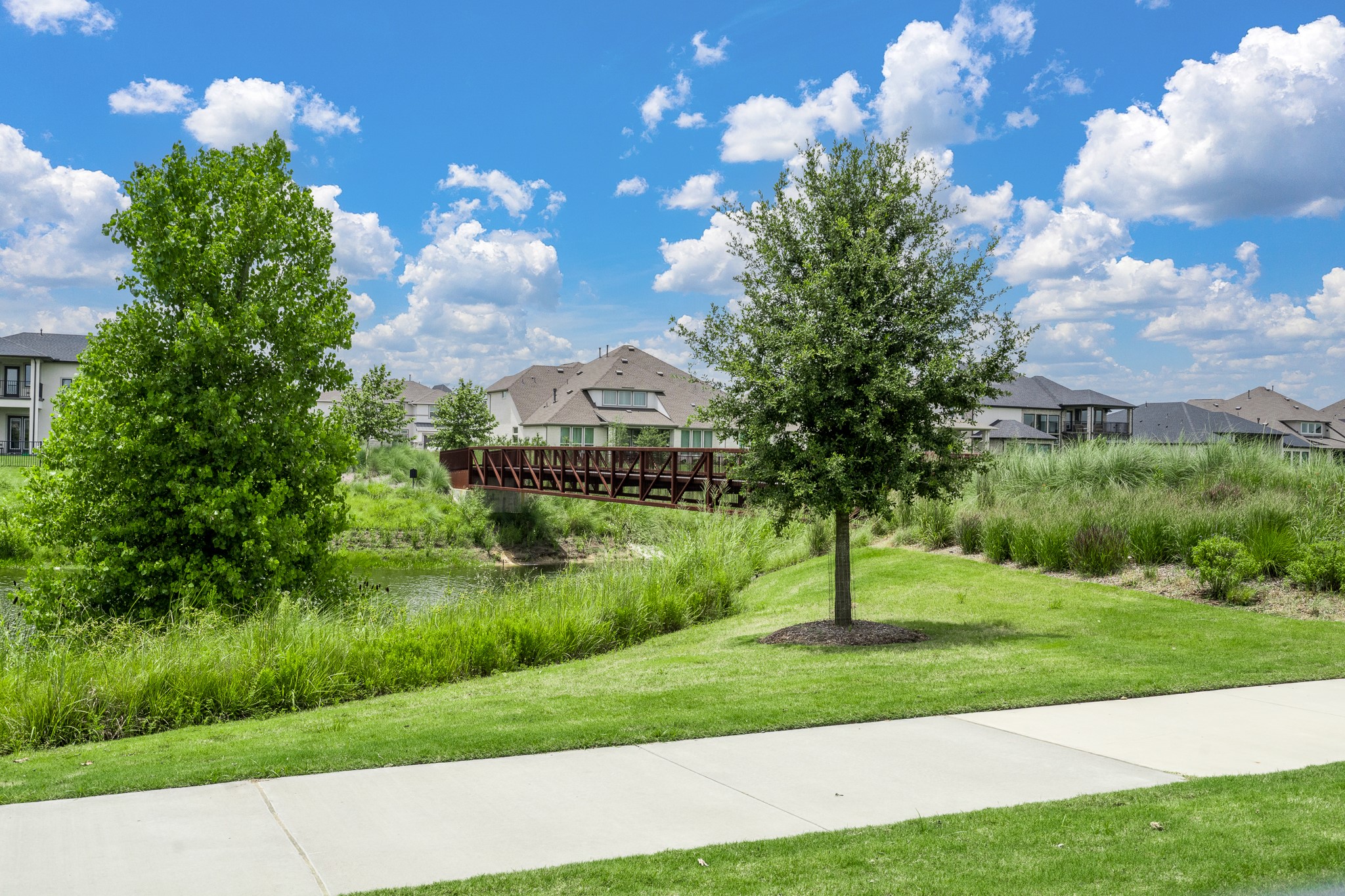 11023 Heartleaf Aster Way Property Photo 39