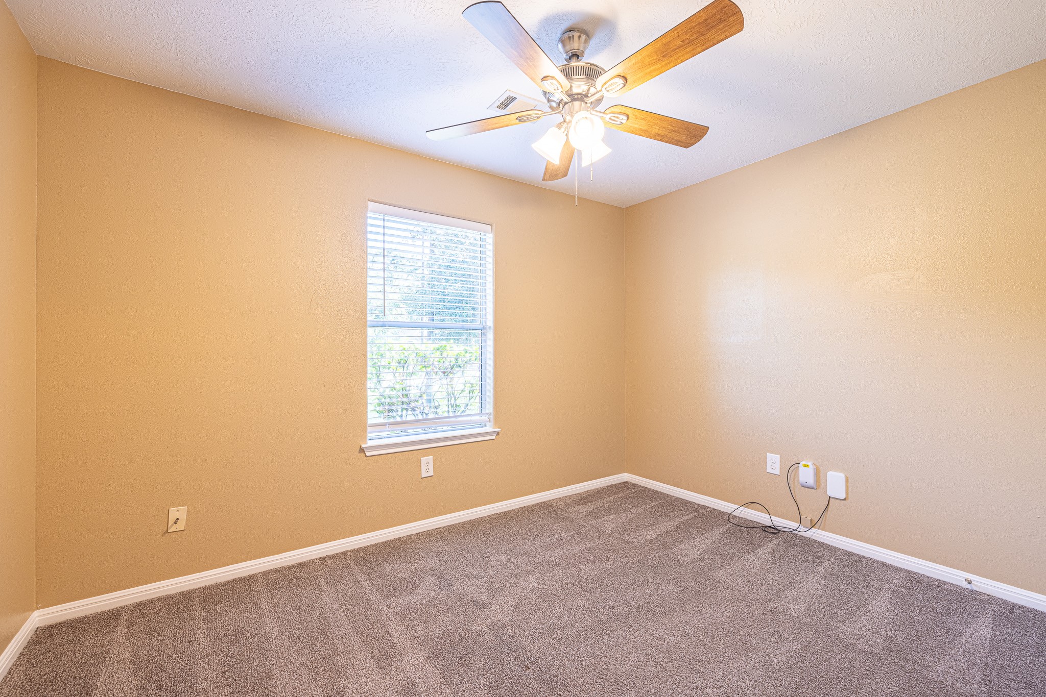16381 Many Trees Lane Property Photo 19