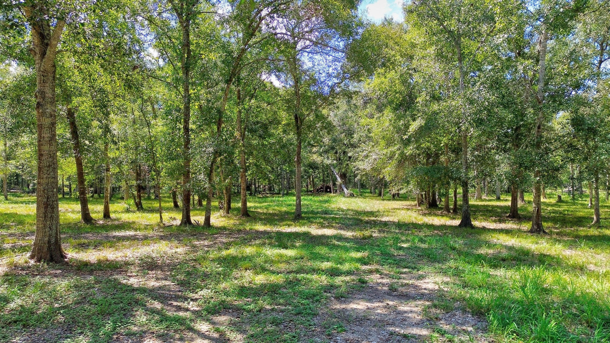22722 County Road 384 A Property Photo 9