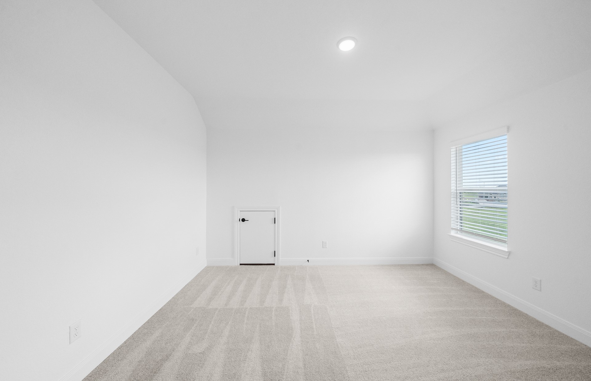 6111 Lush Pasture Lane Property Photo 19