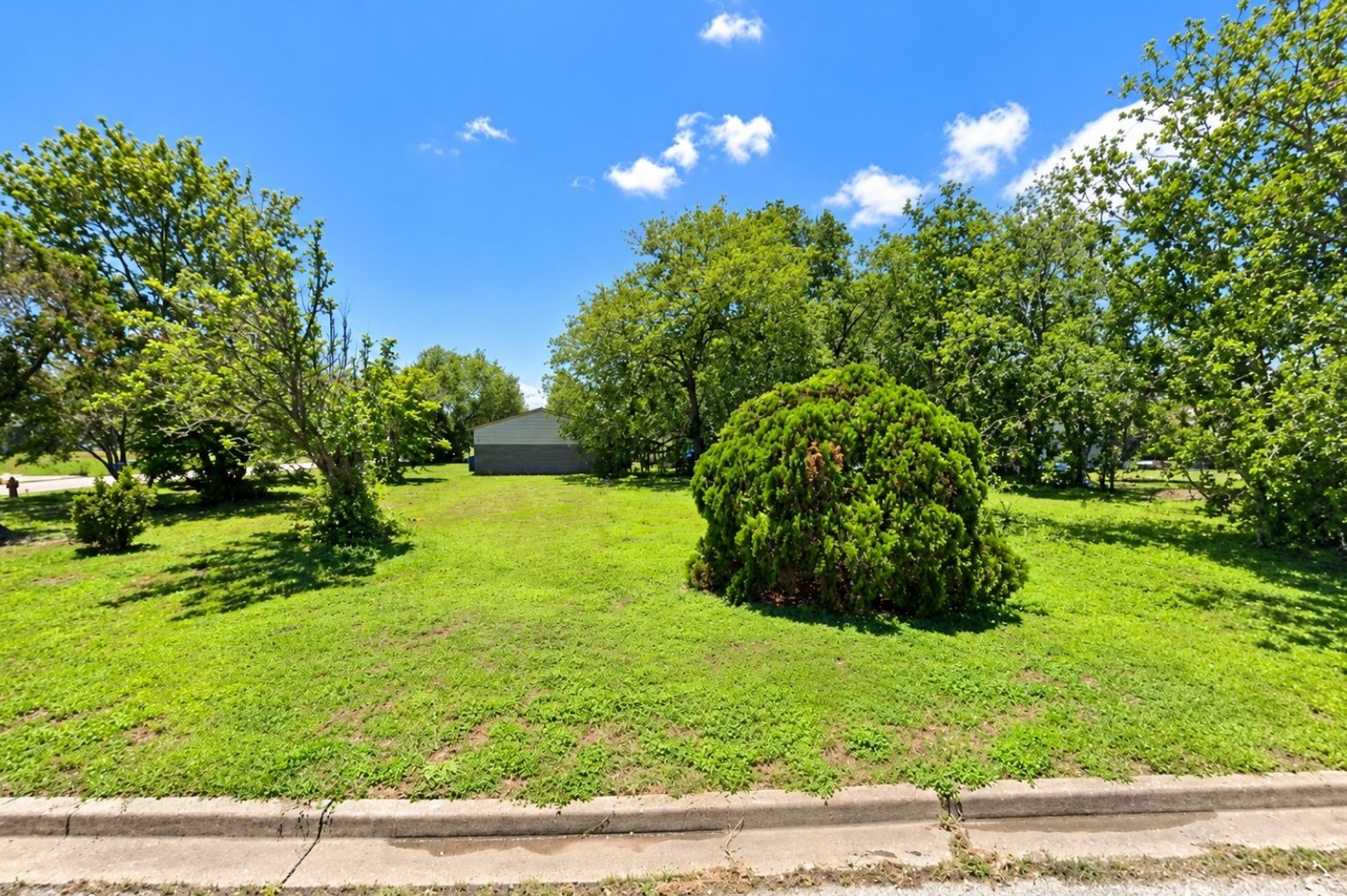 121 Massanet Street Property Photo 5