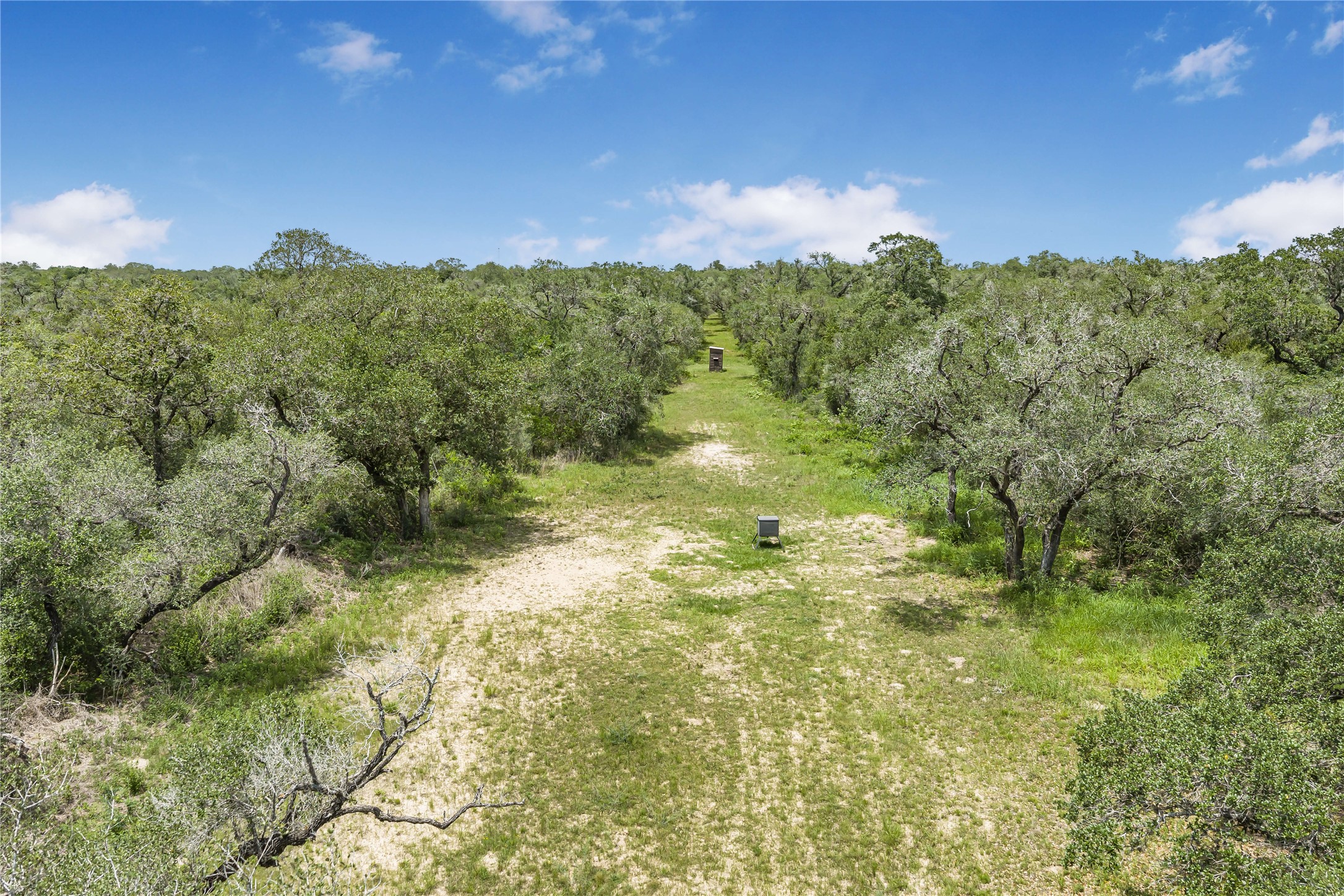 0 Hwy 183 Property Photo 6