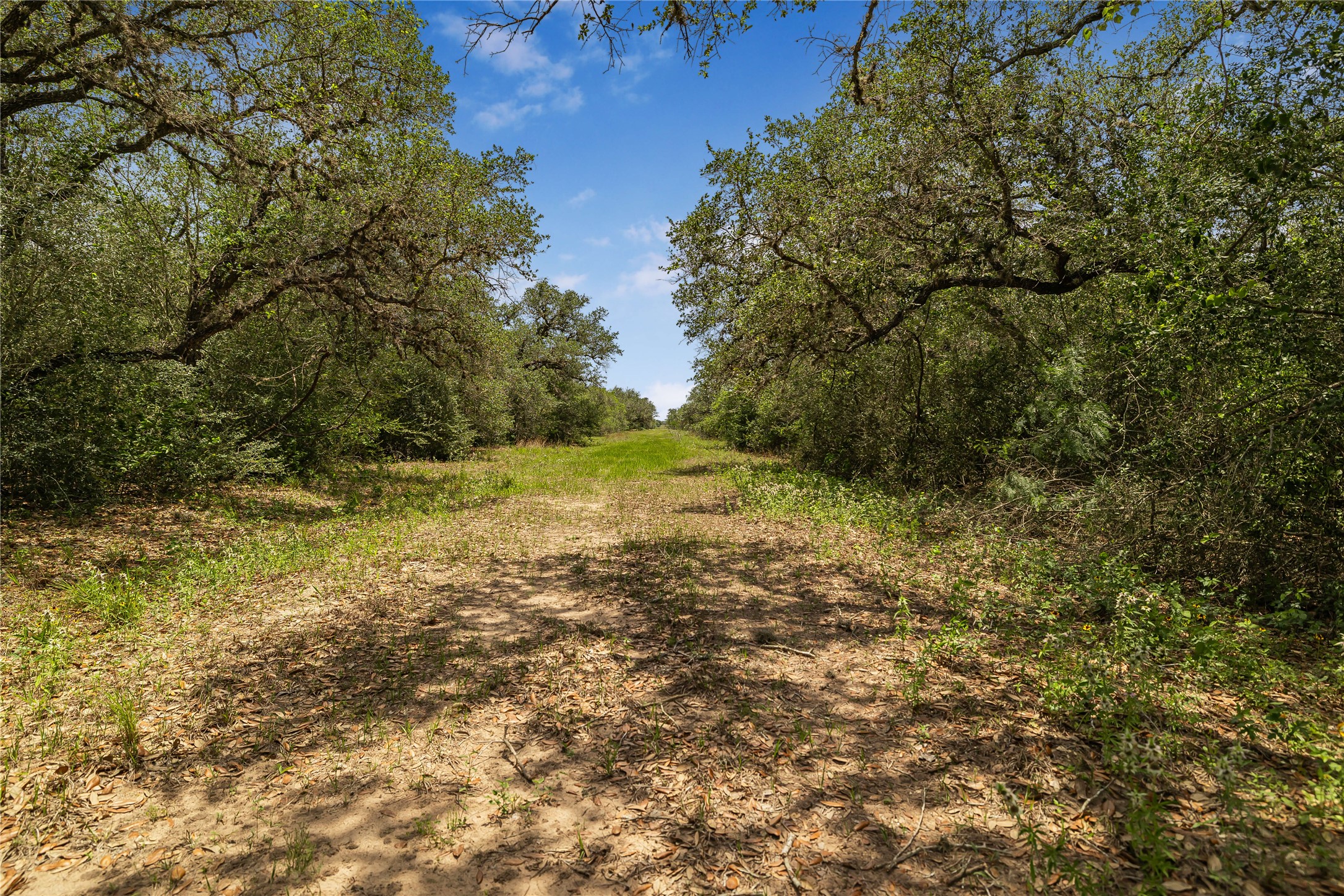 0 Hwy 183 Property Photo 13