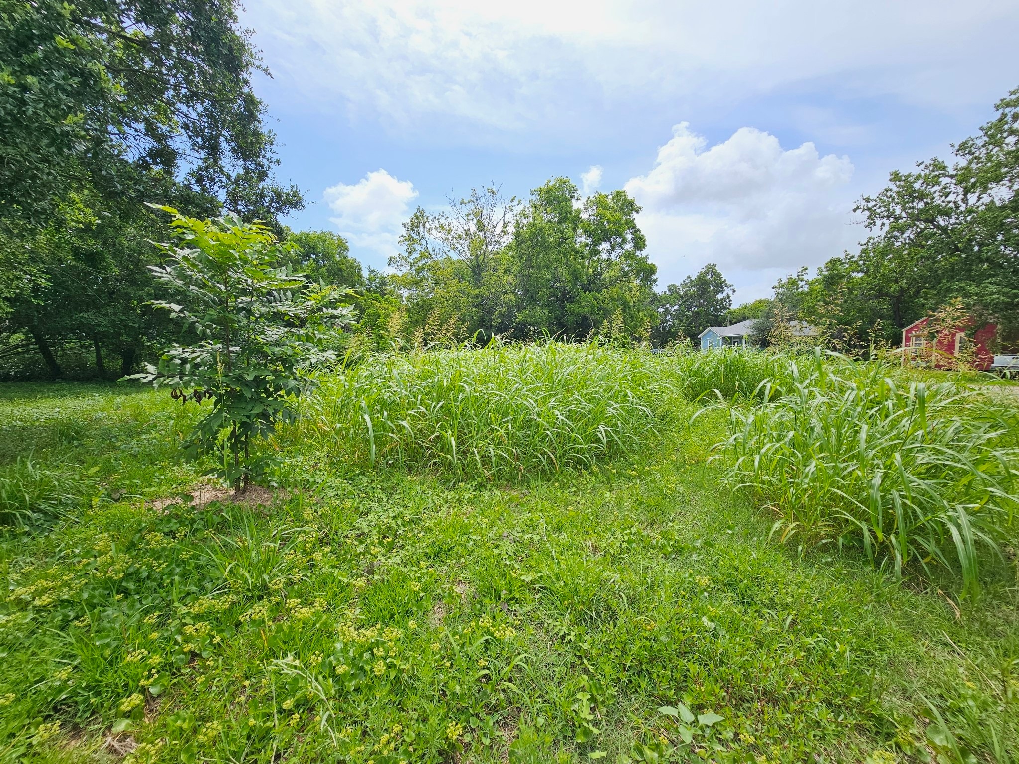 215 2nd Avenue N Property Photo 9