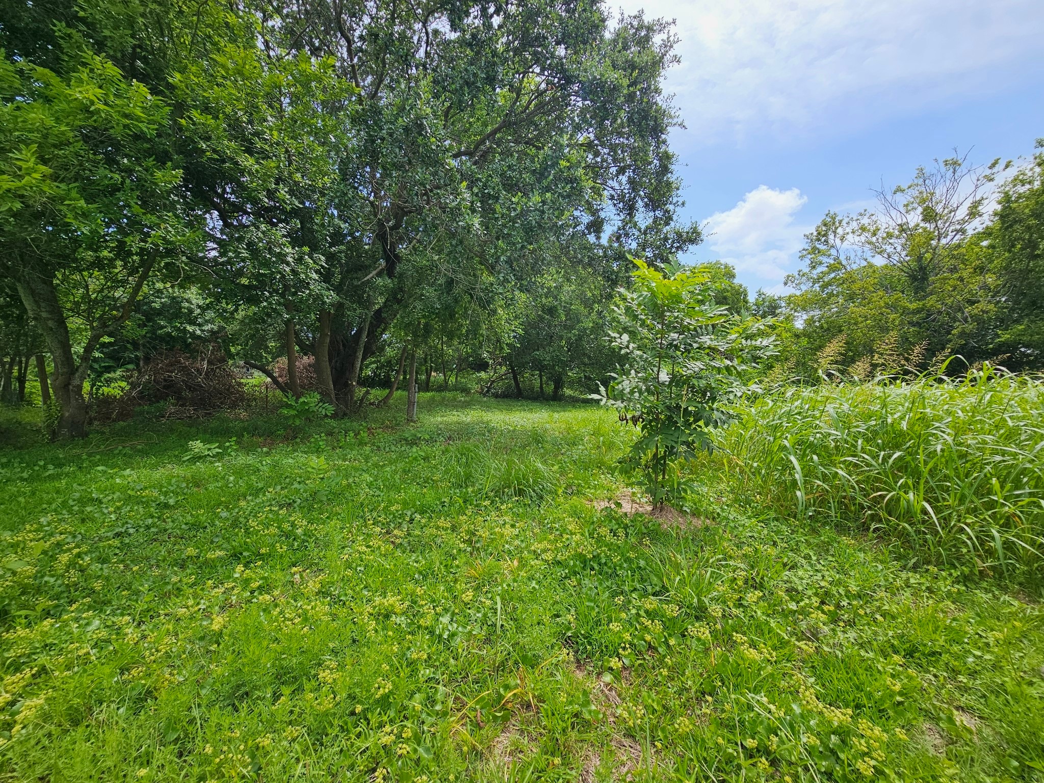 215 2nd Avenue N Property Photo 10
