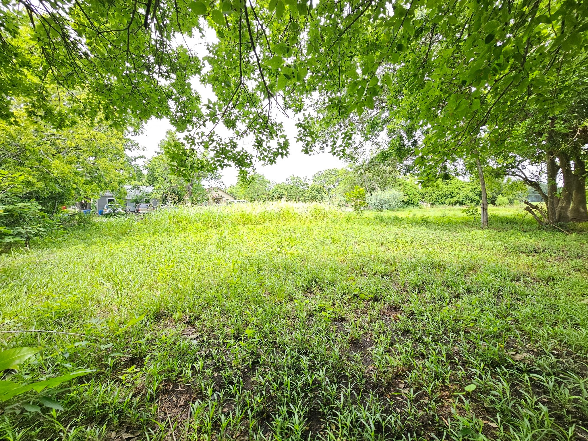 215 2nd Avenue N Property Photo 12