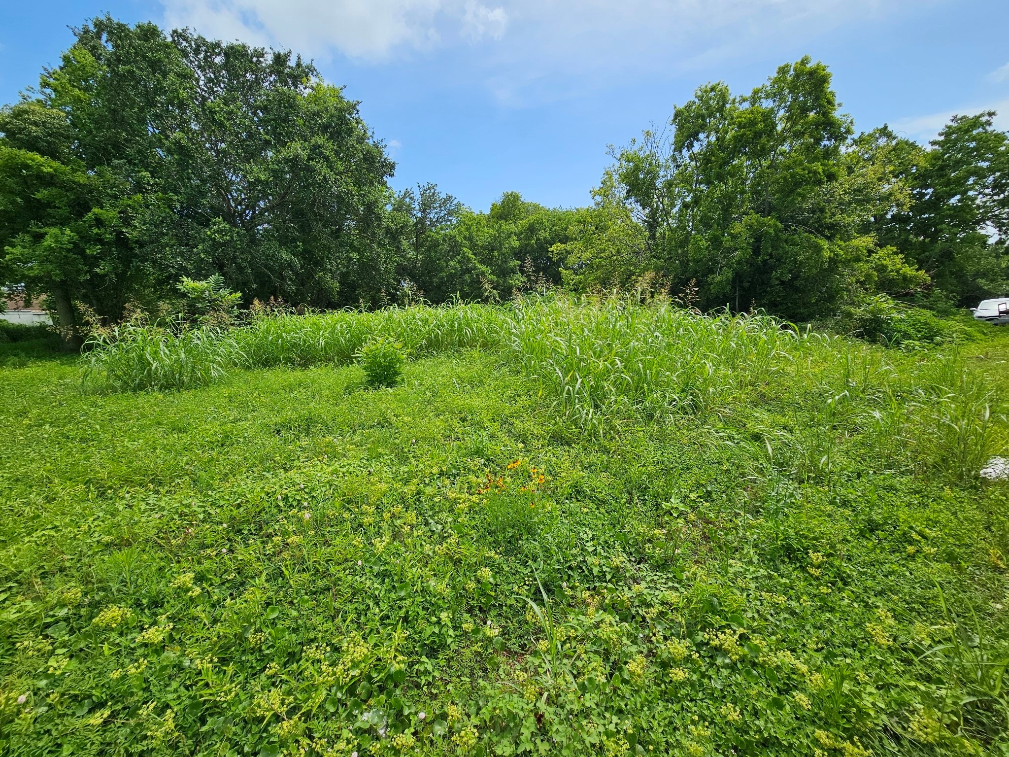 215 2nd Avenue N Property Photo 13